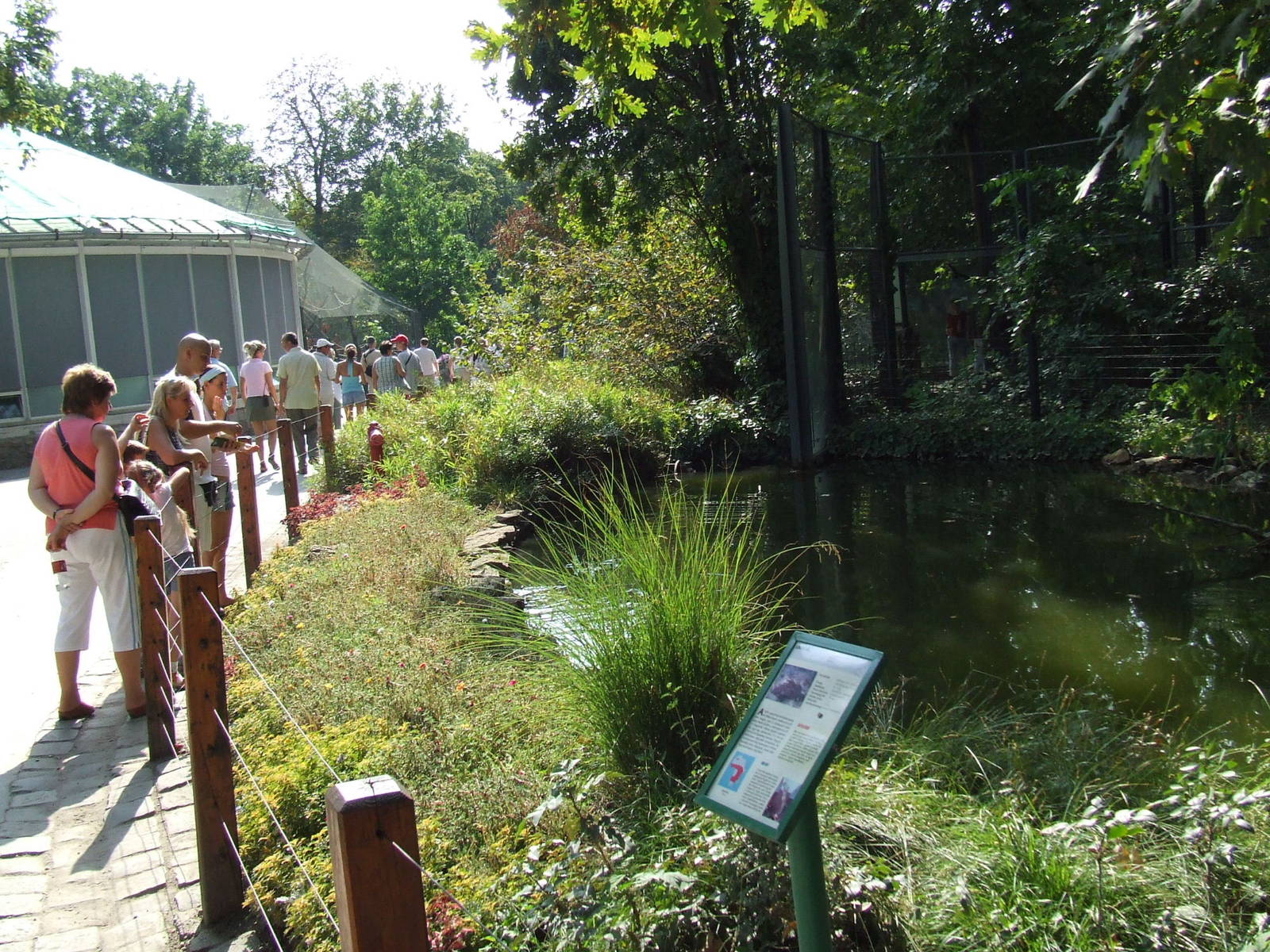 Water-moated Serval enclosure @ Budapest Zoo