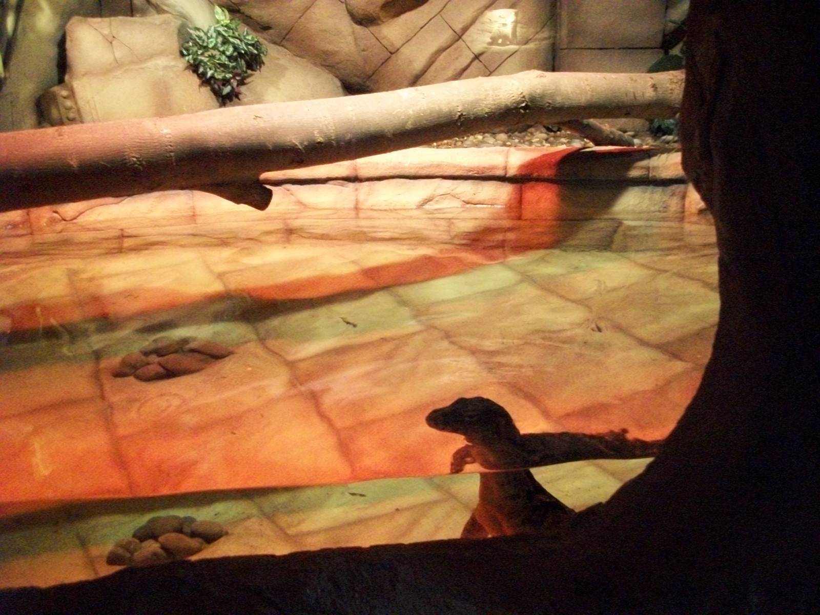 Water Monitor 22nd February 2013