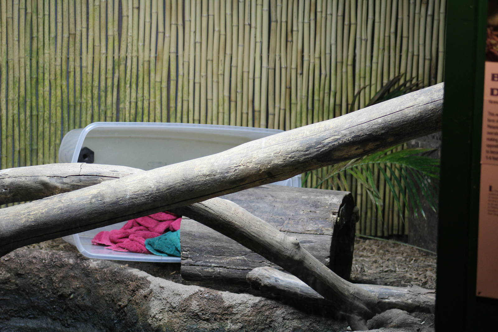 Water Monitor Enclosure (Part 2)