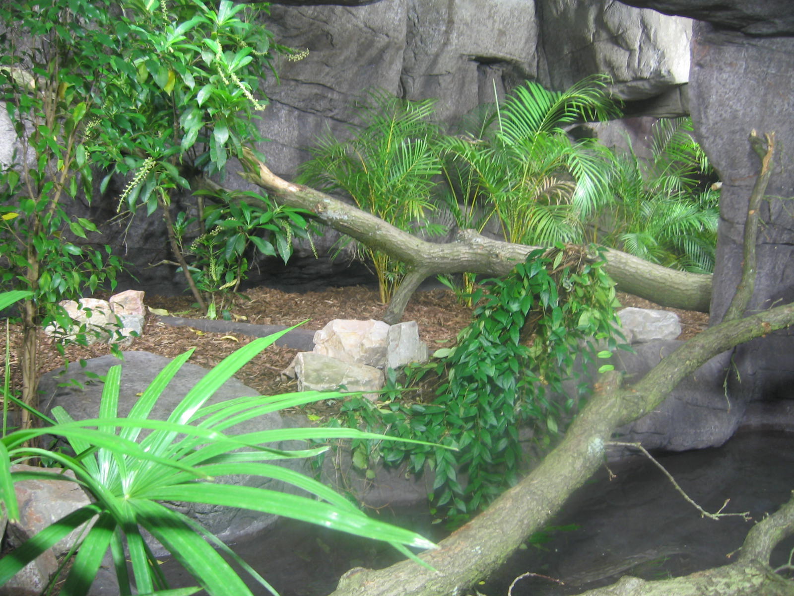 Water monitor enclosure