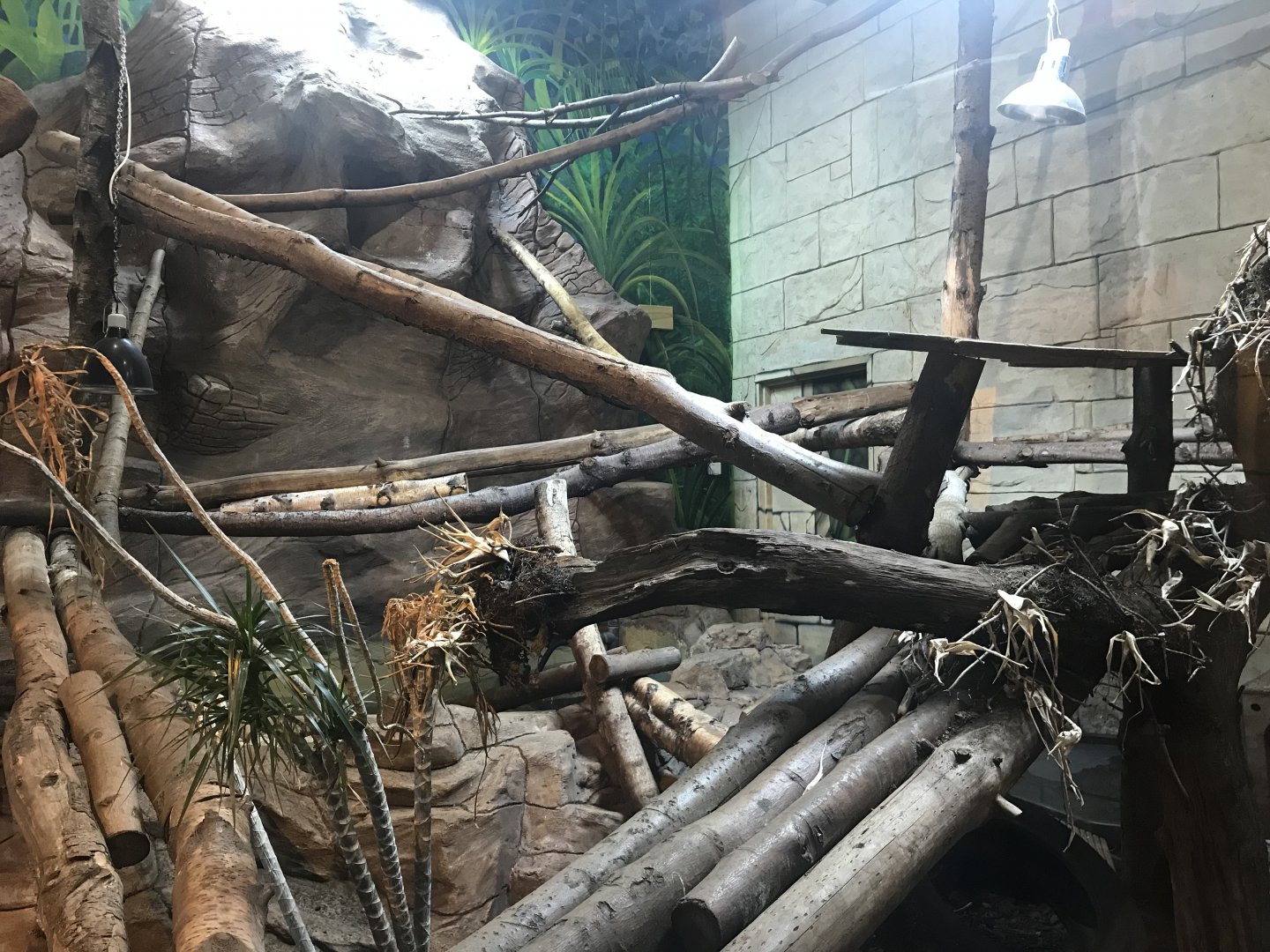 Water monitor enclosure