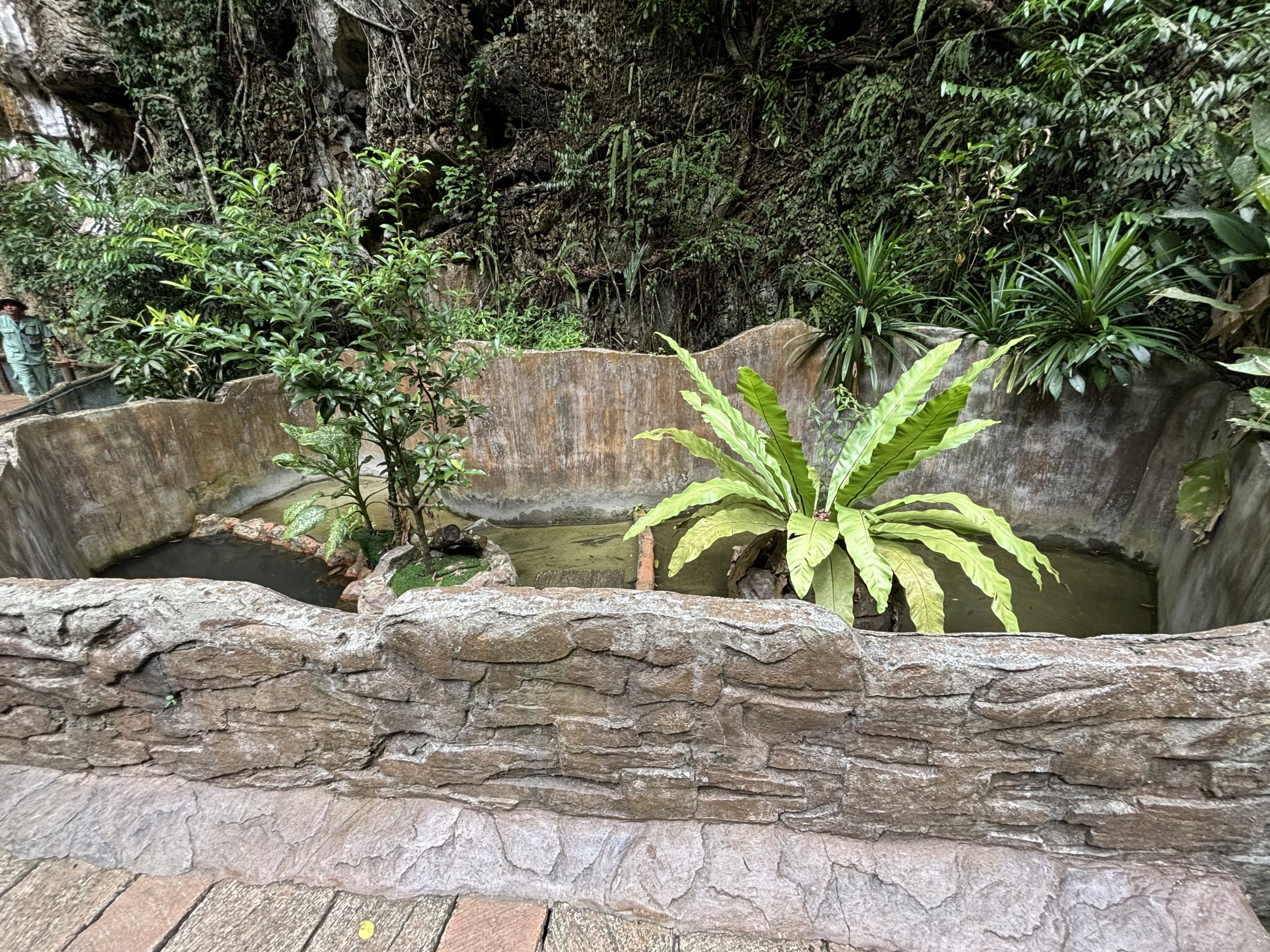 Water Monitor Exhibit - Lost World of Tambun