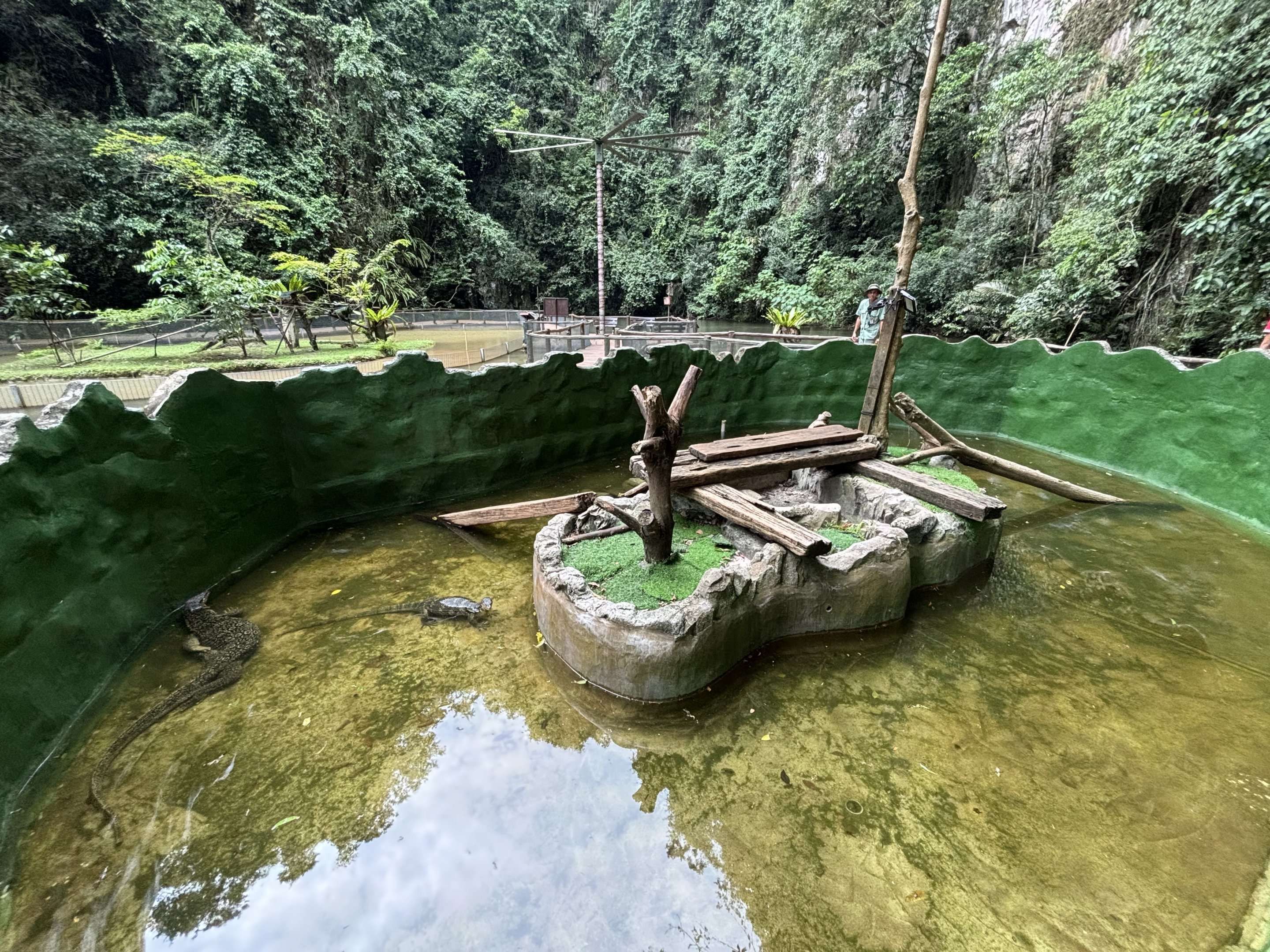 Water Monitor Exhibit - Lost World of Tambun