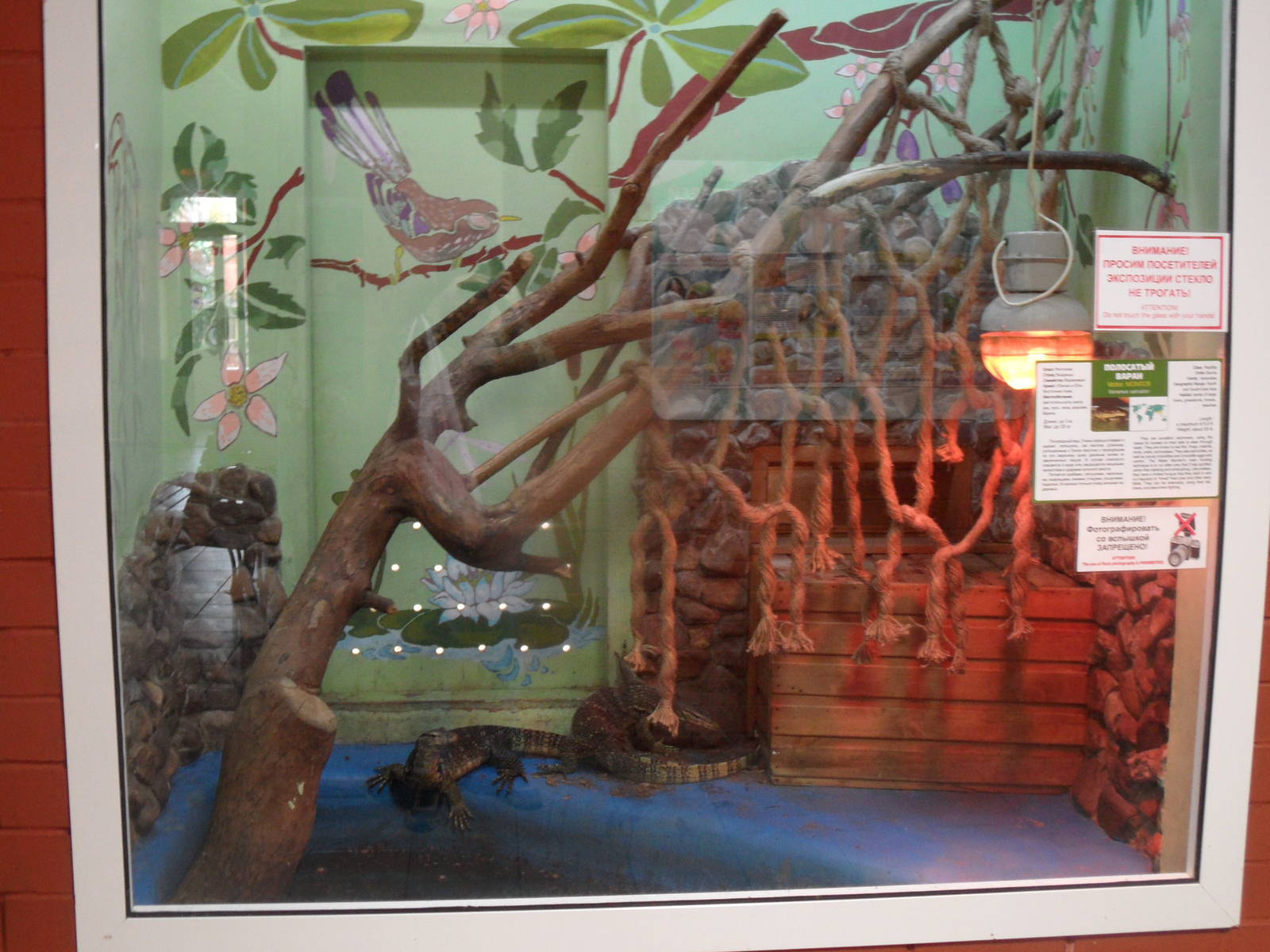 Water monitor exhibit