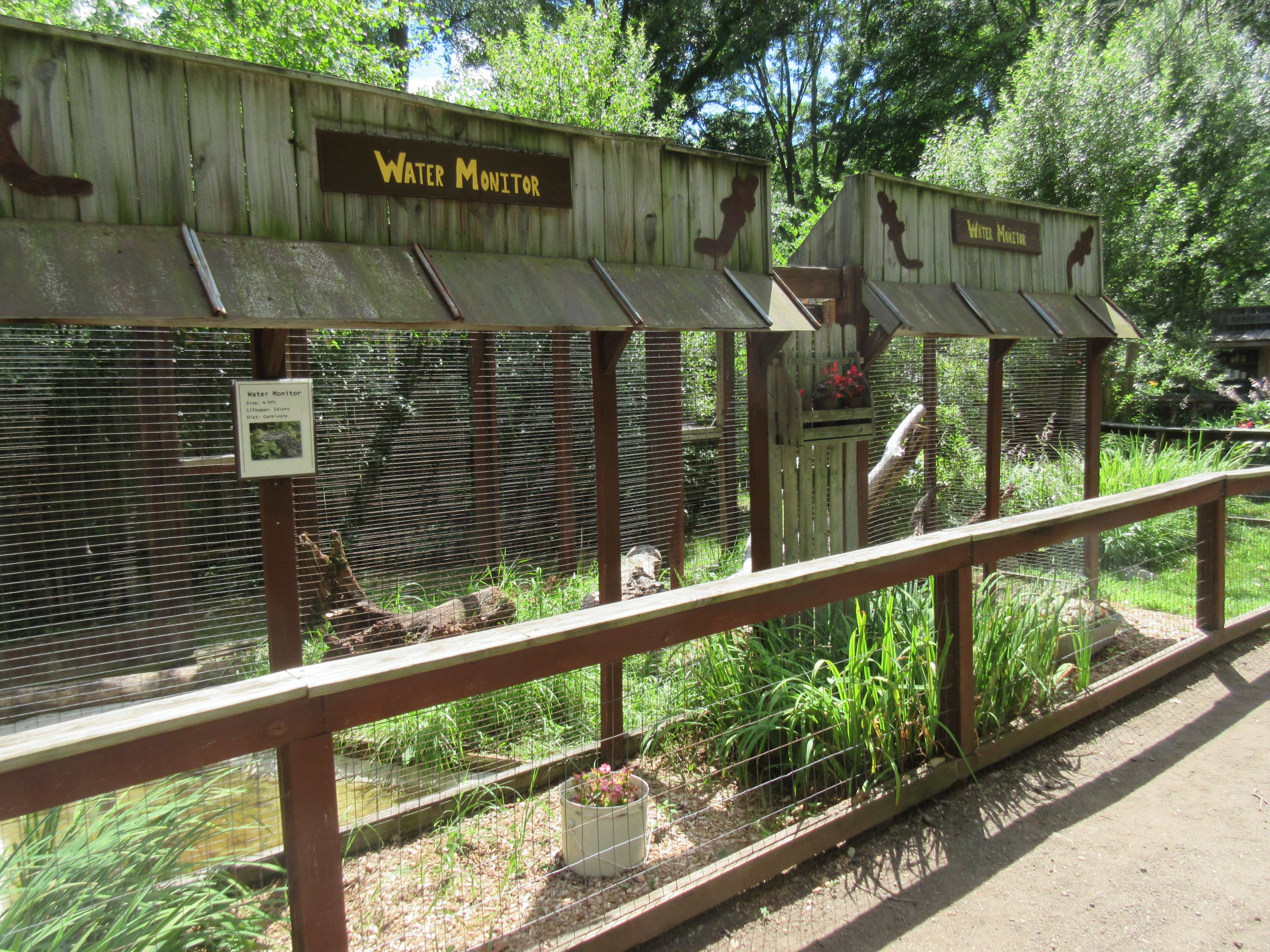 Water Monitor Exhibit