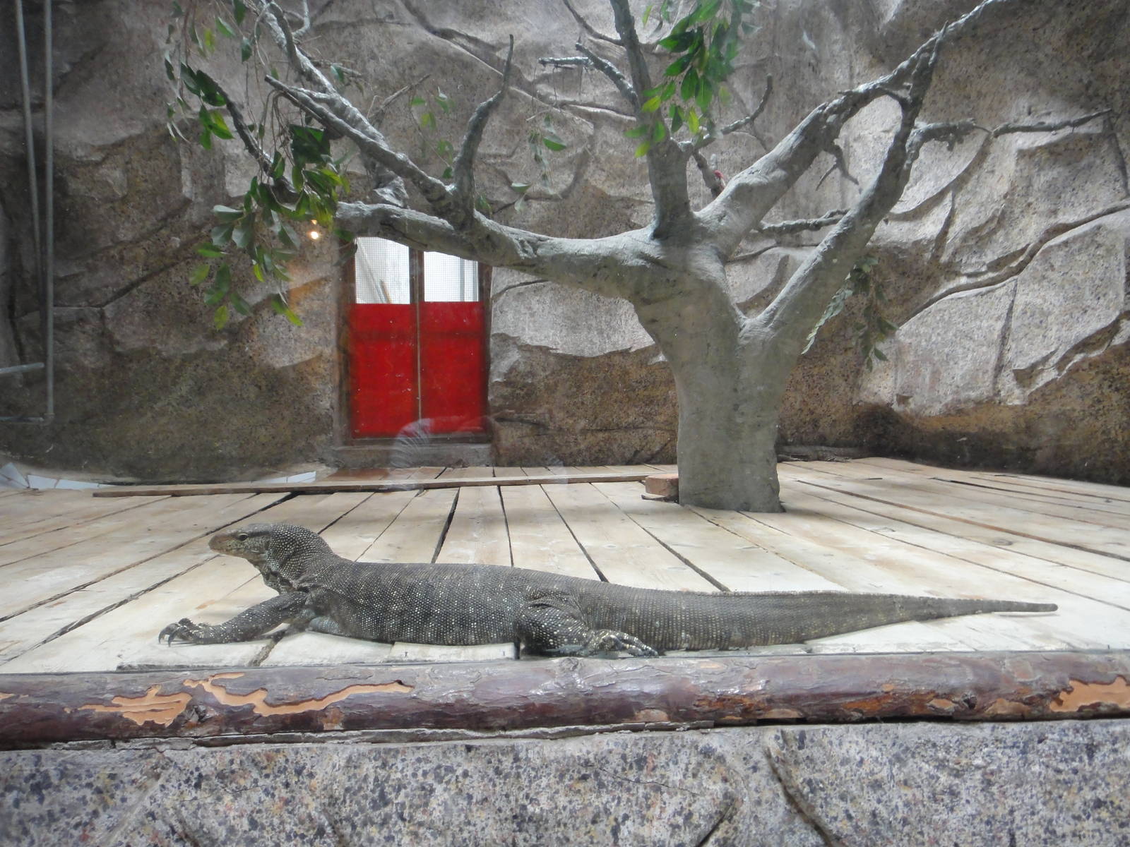 Water monitor