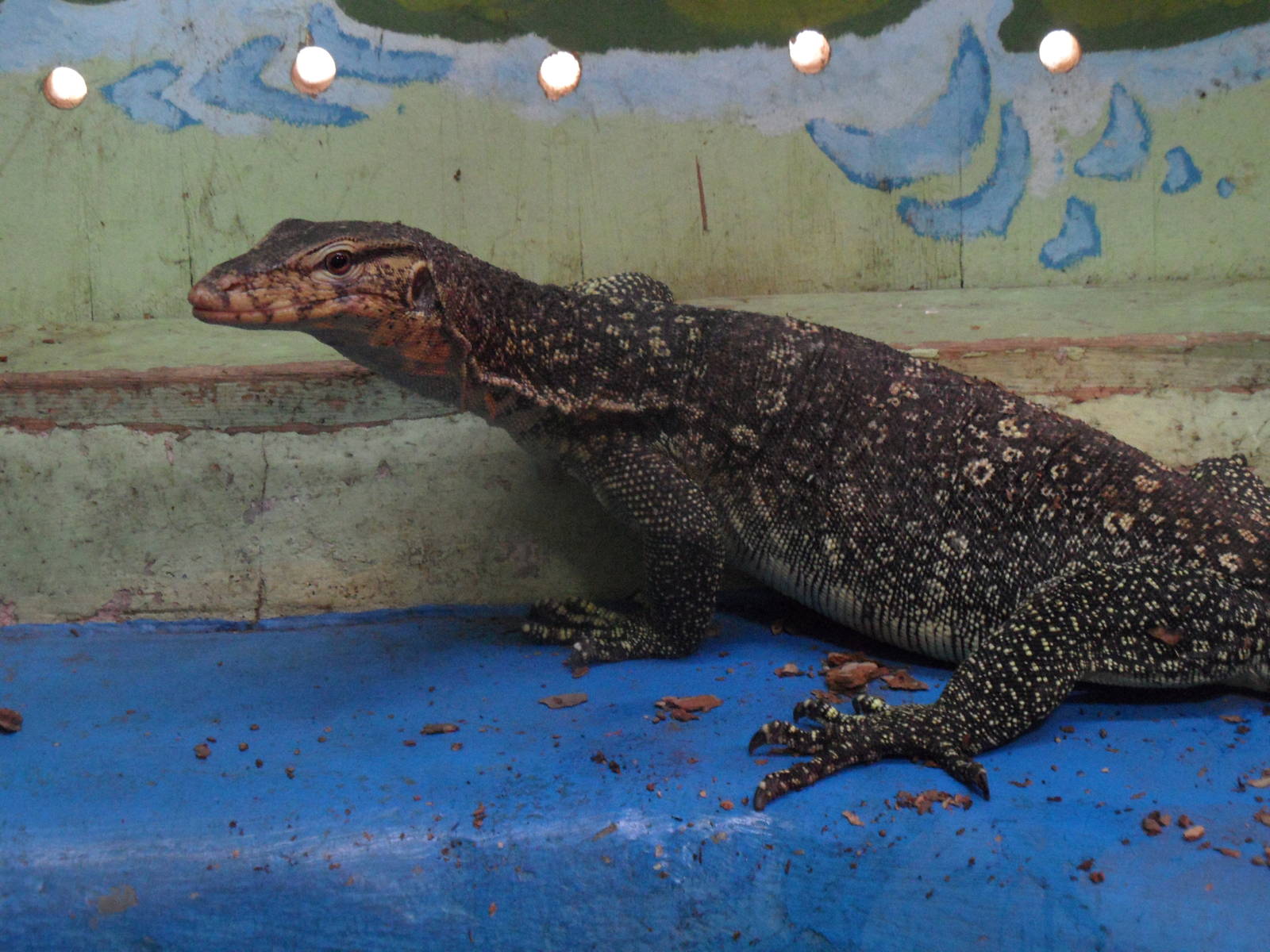 Water monitor
