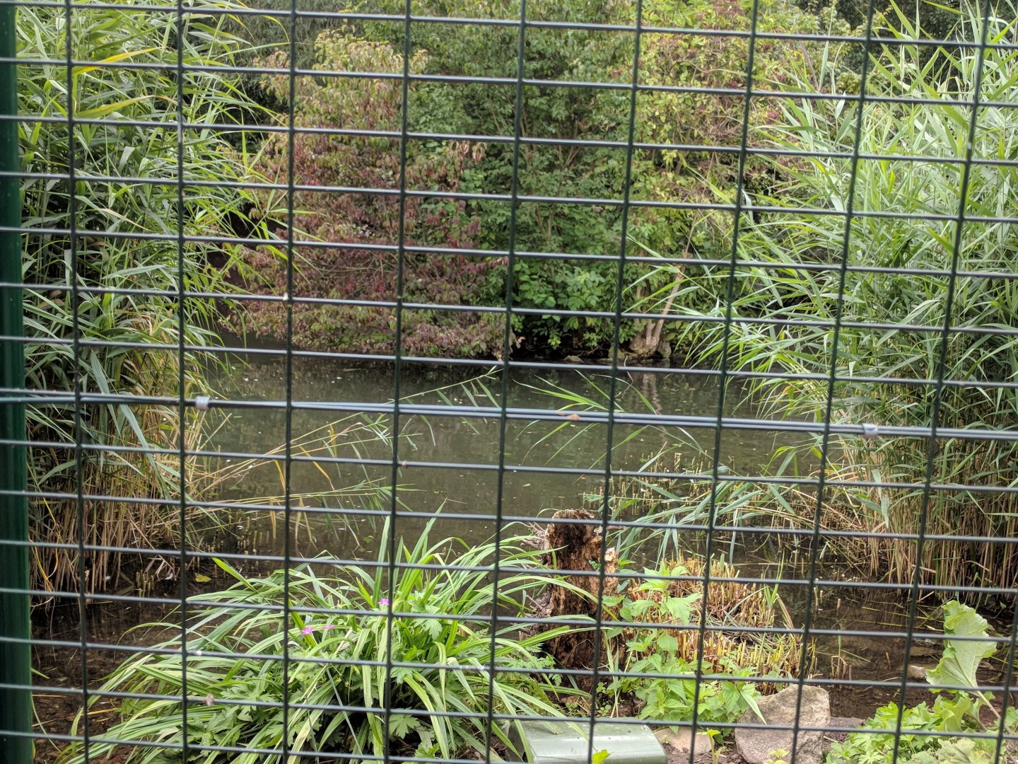 Water Part of Geysir Lake