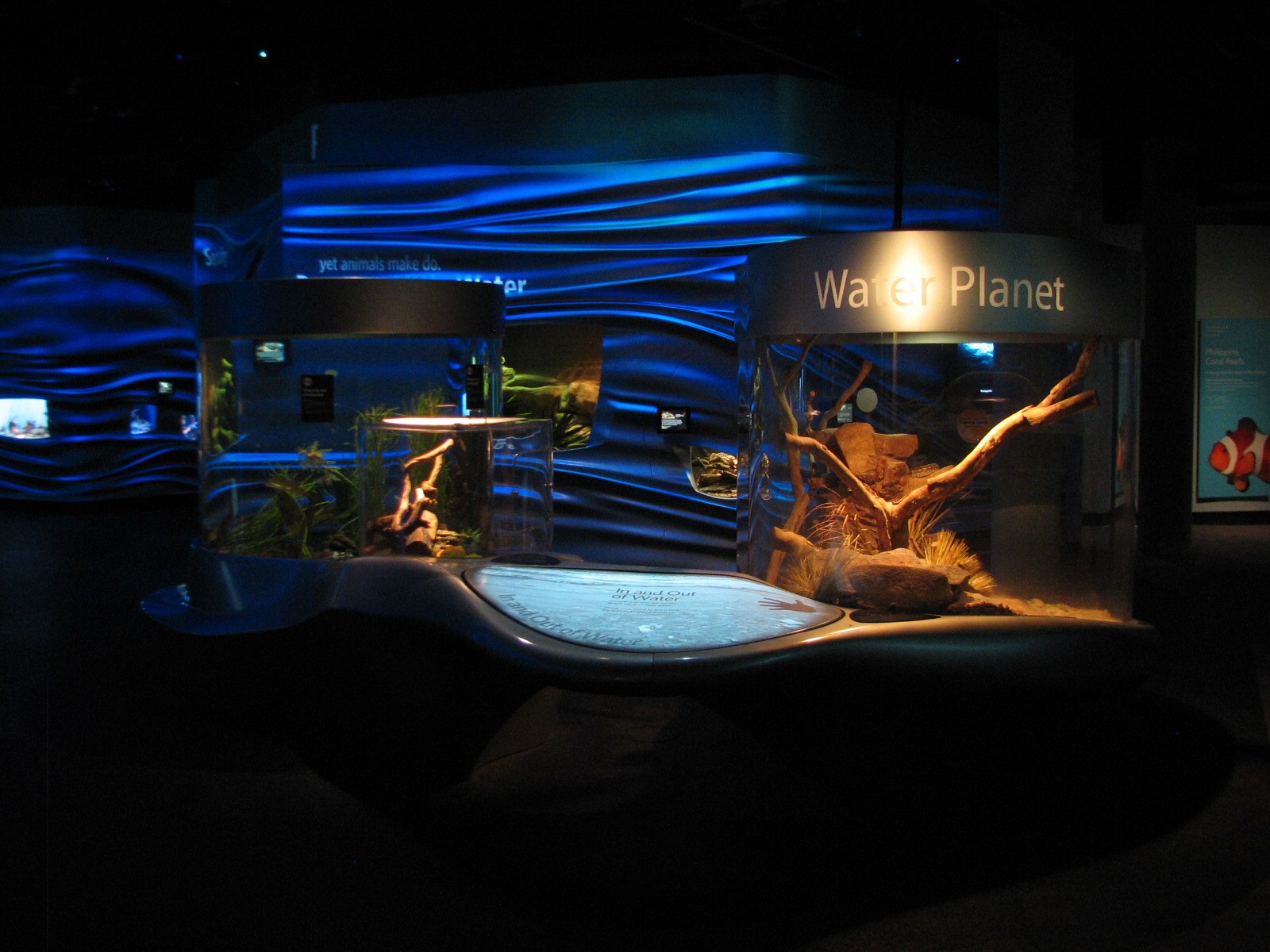 Water Planet - Exhibits