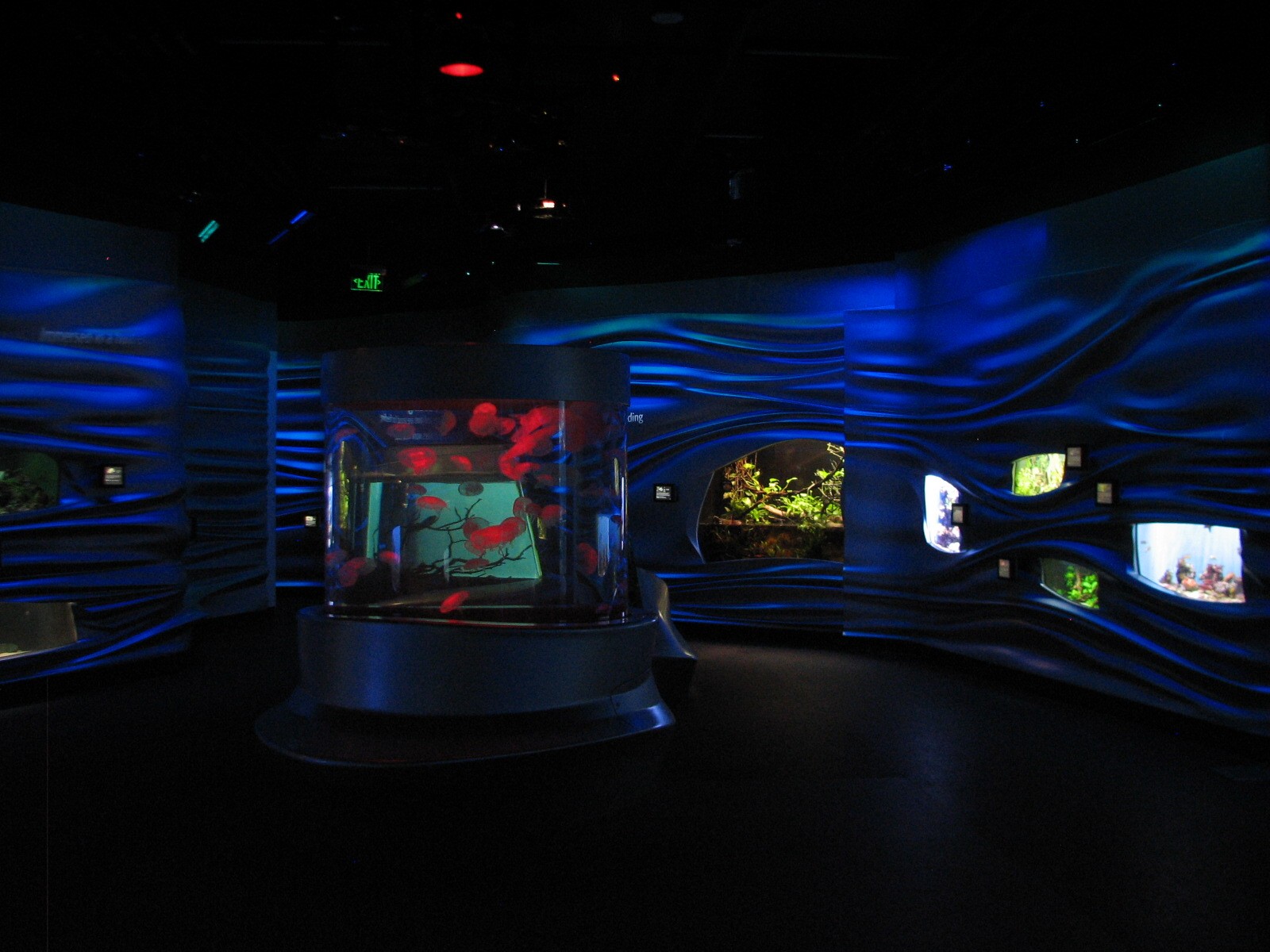 Water Planet - Exhibits