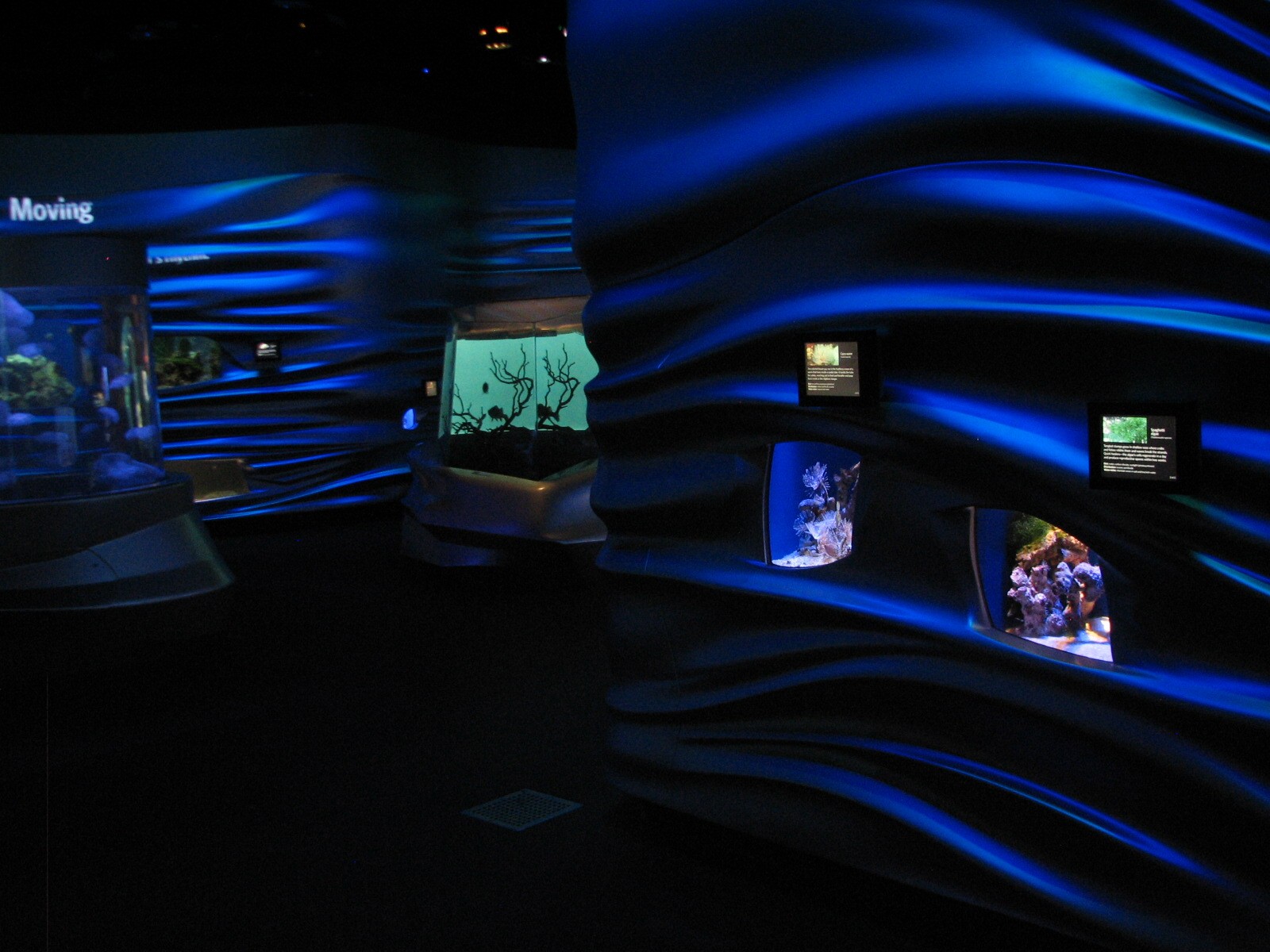 Water Planet - Exhibits