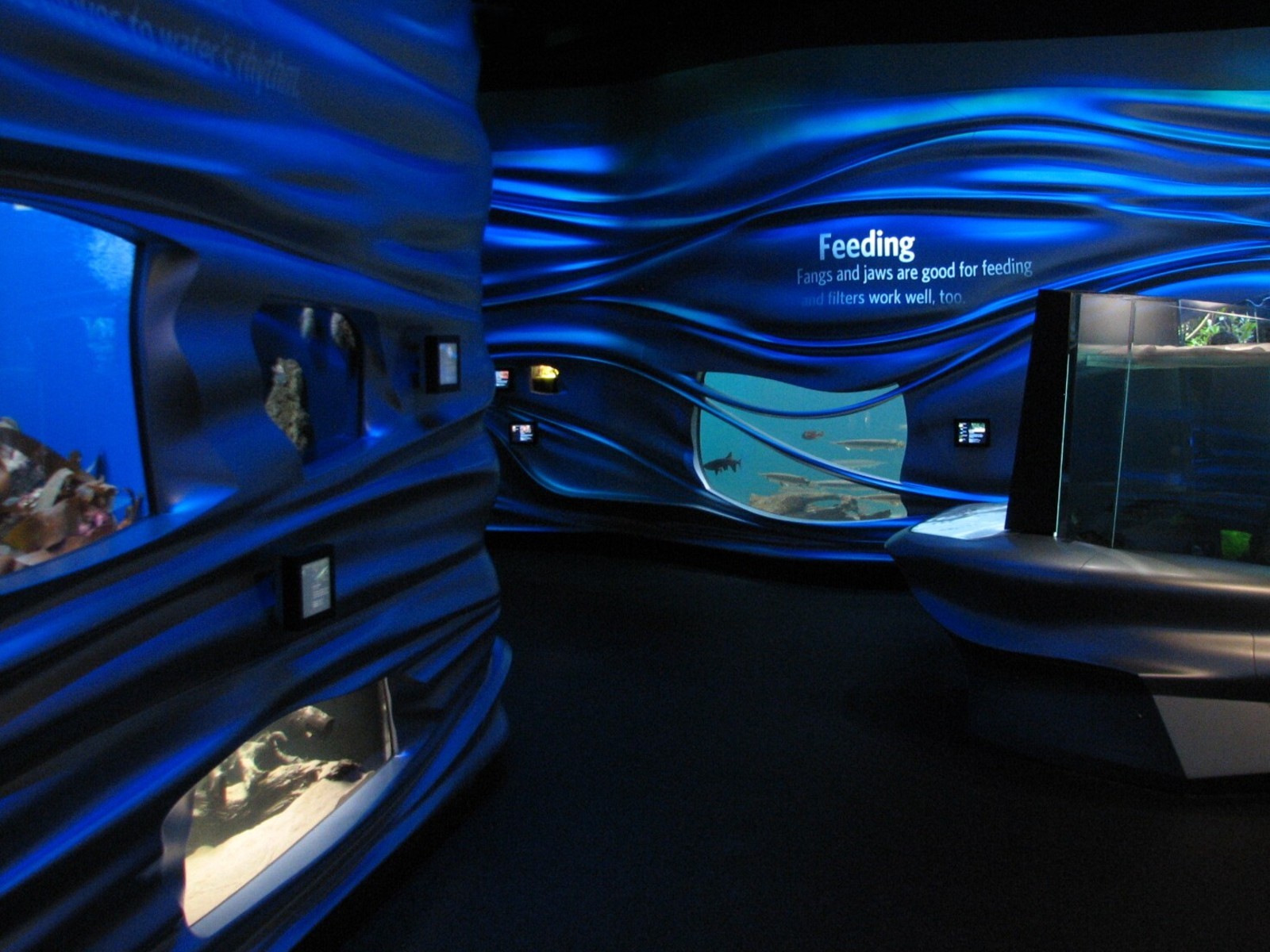 Water Planet - Exhibits