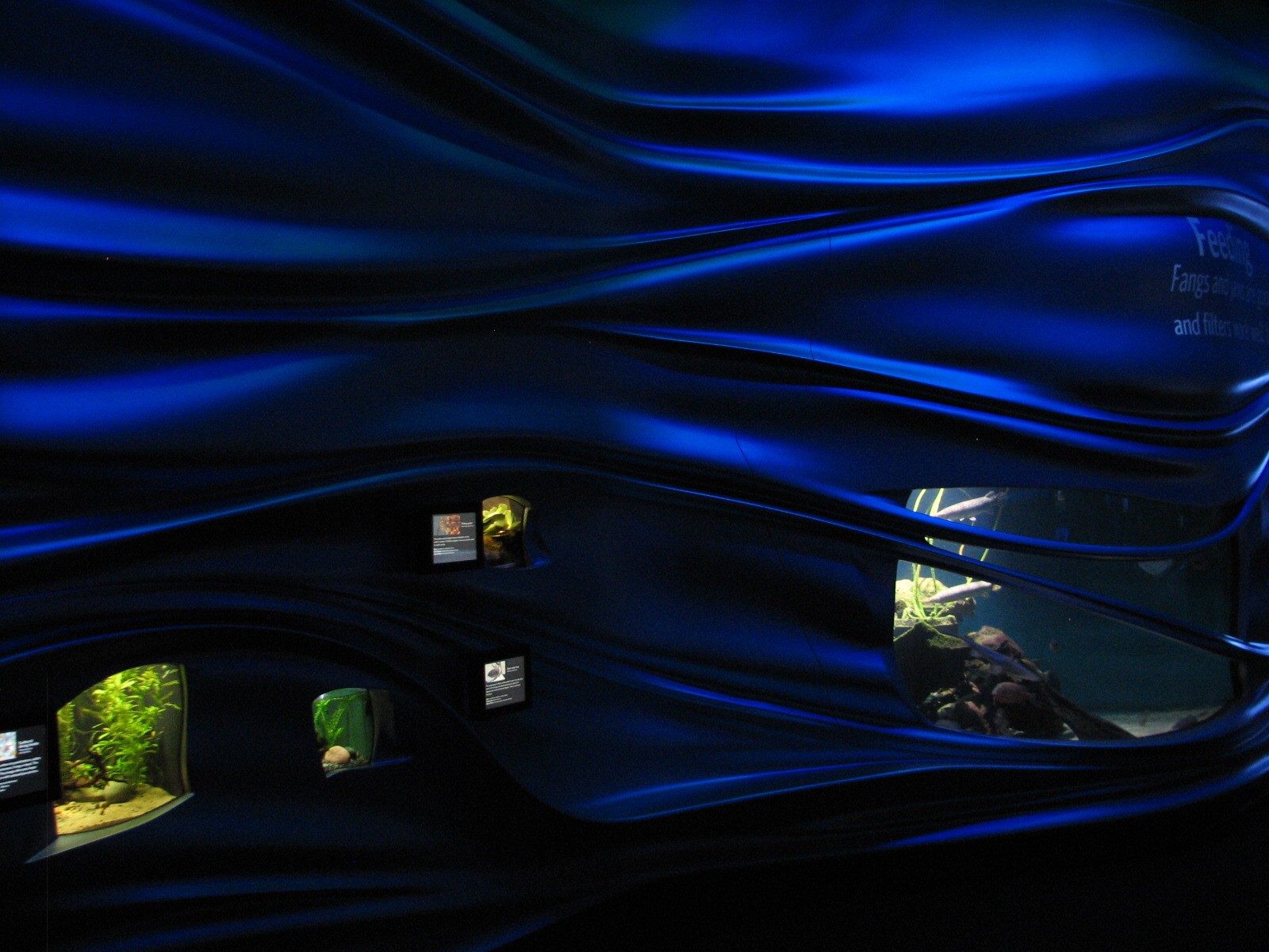 Water Planet - Exhibits