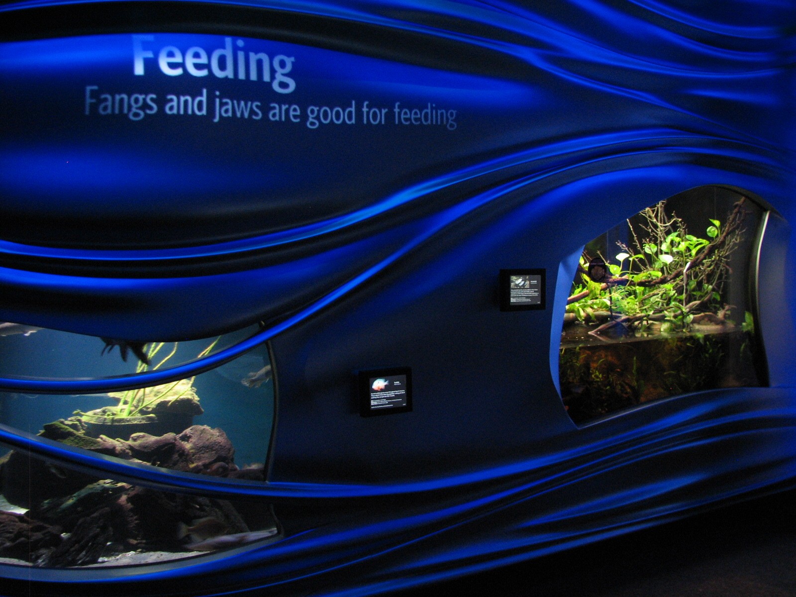 Water Planet - Exhibits