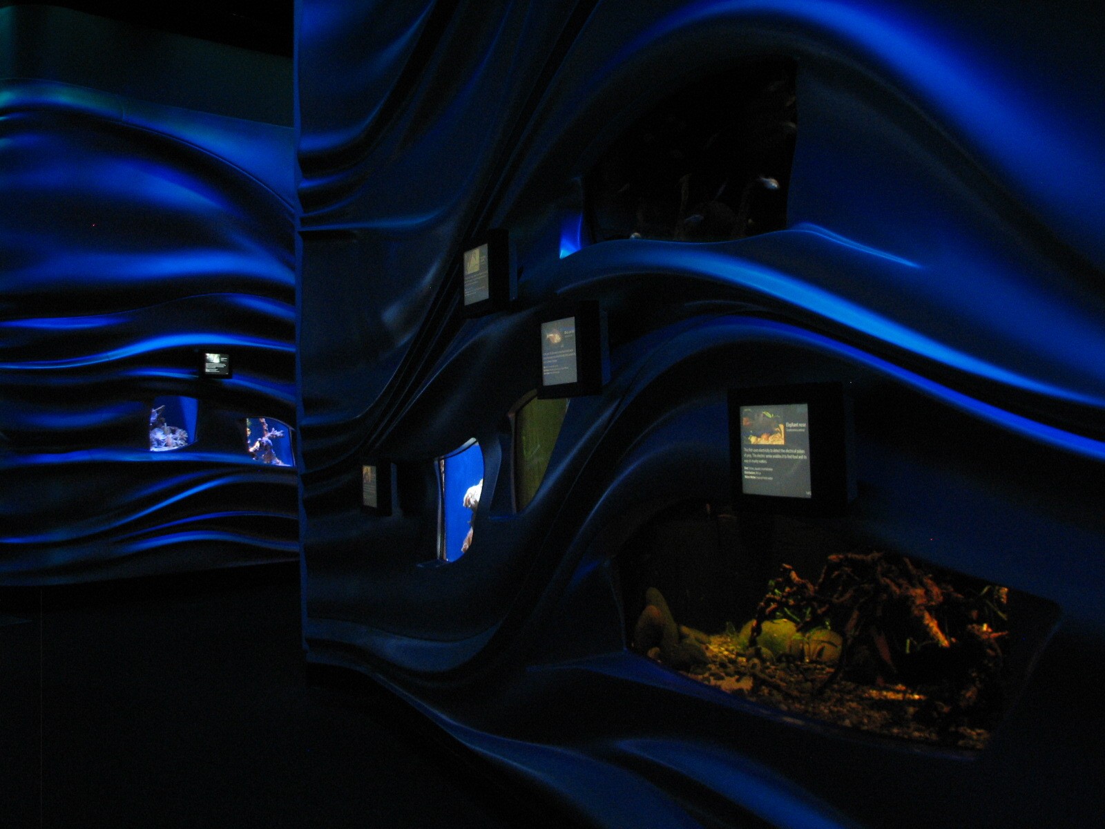 Water Planet - Exhibits