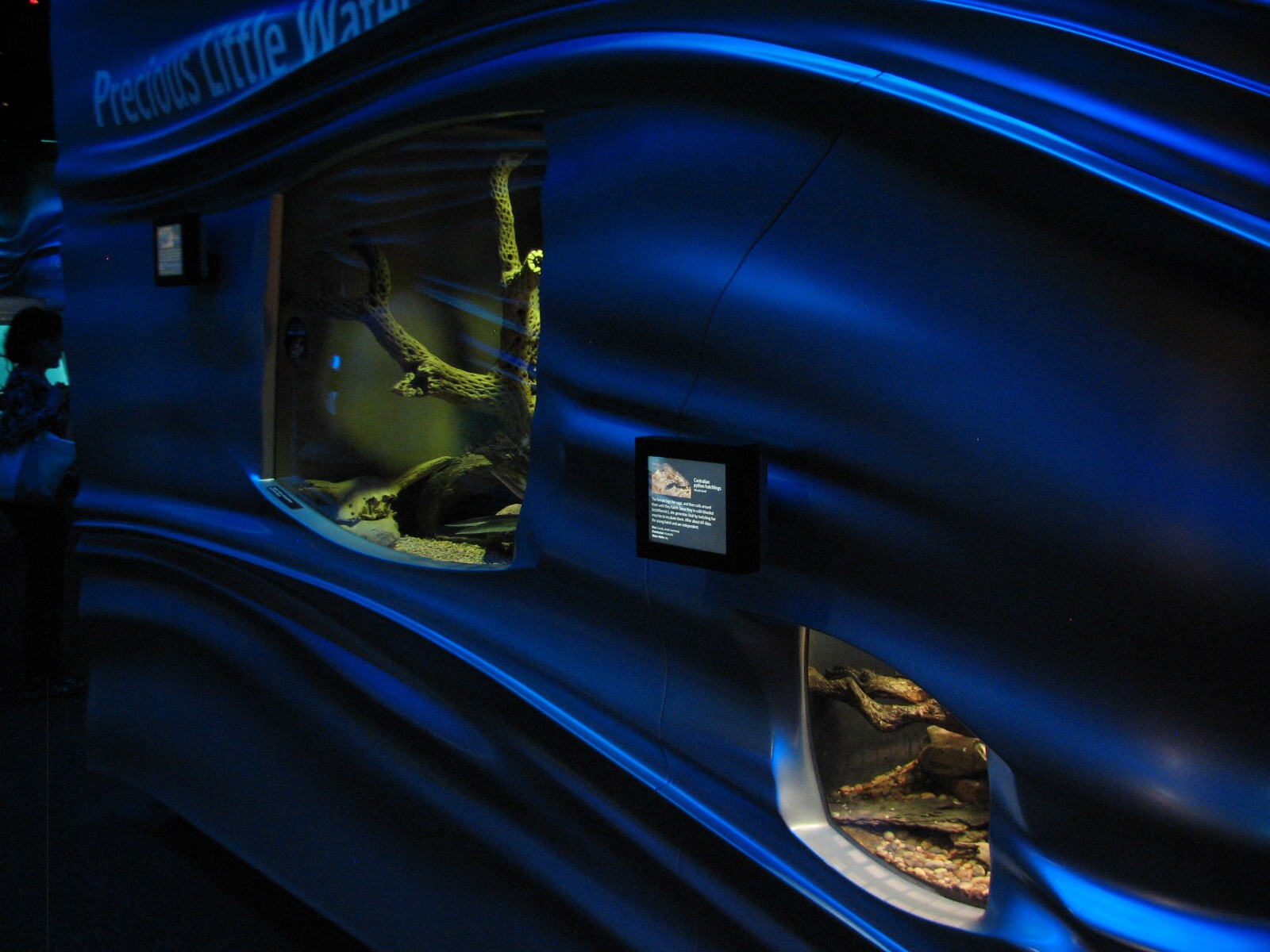 Water Planet - Mexican Beaded Lizard Exhibit and Centralian Carpet Python H