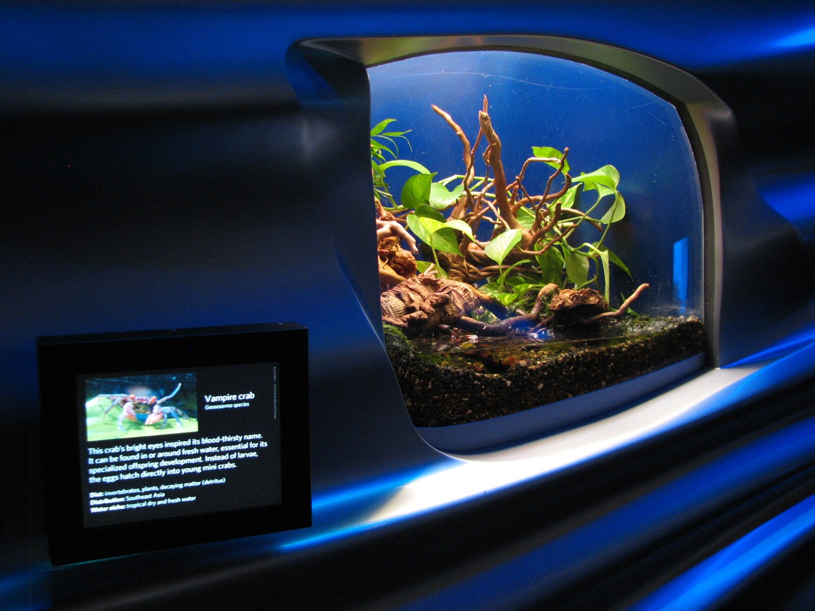 Water Planet - Vampire Crab Exhibit
