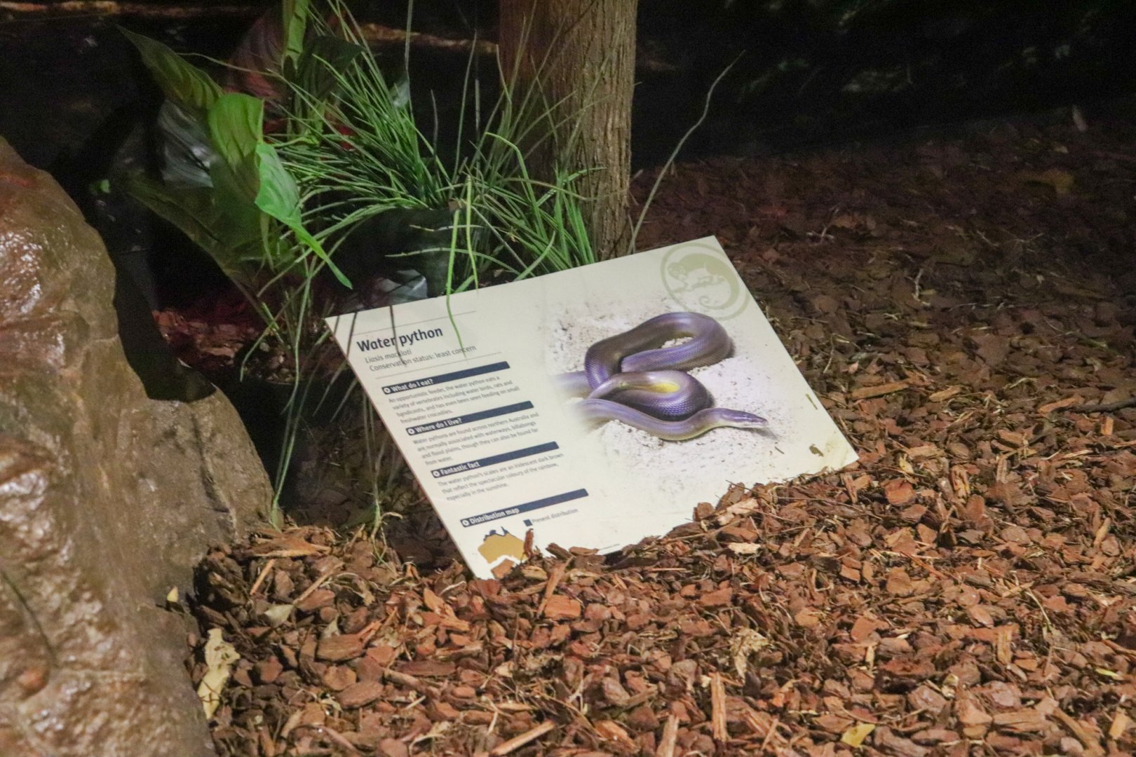 Water Python Sign
