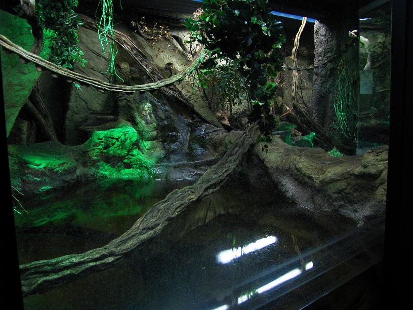 Water-rat Enclosure (Nocturama)