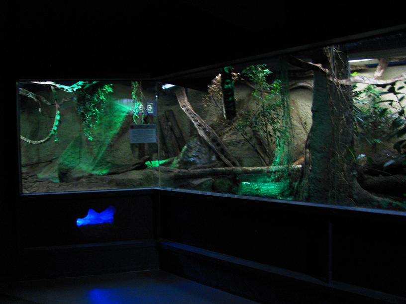 Water-rat Enclosure (Nocturama)