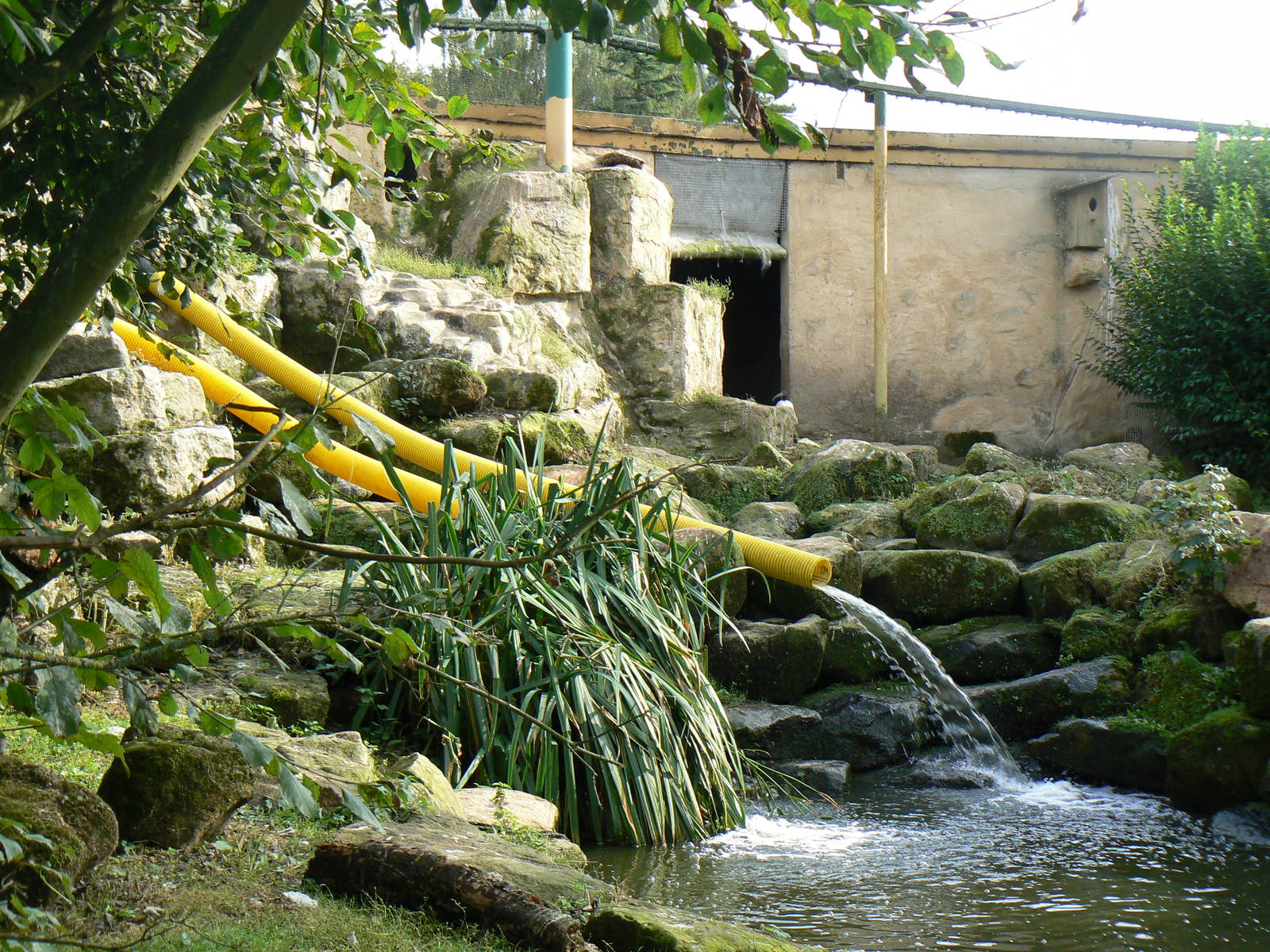 Water Slide for Waterfowl? - 17 September 2016