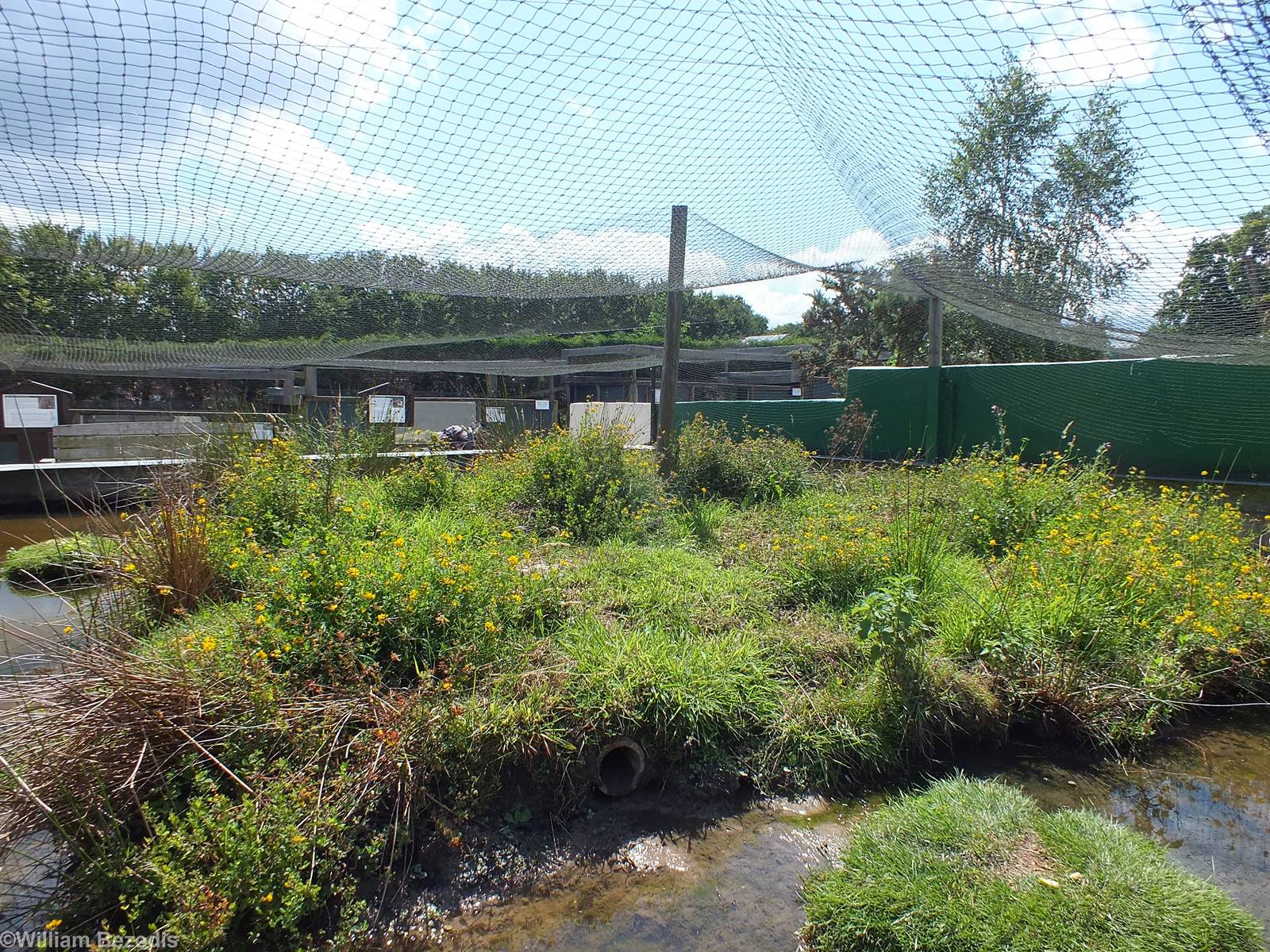 Water Vole Enclosure
