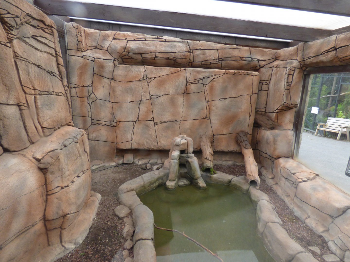 Water Vole Enclosure