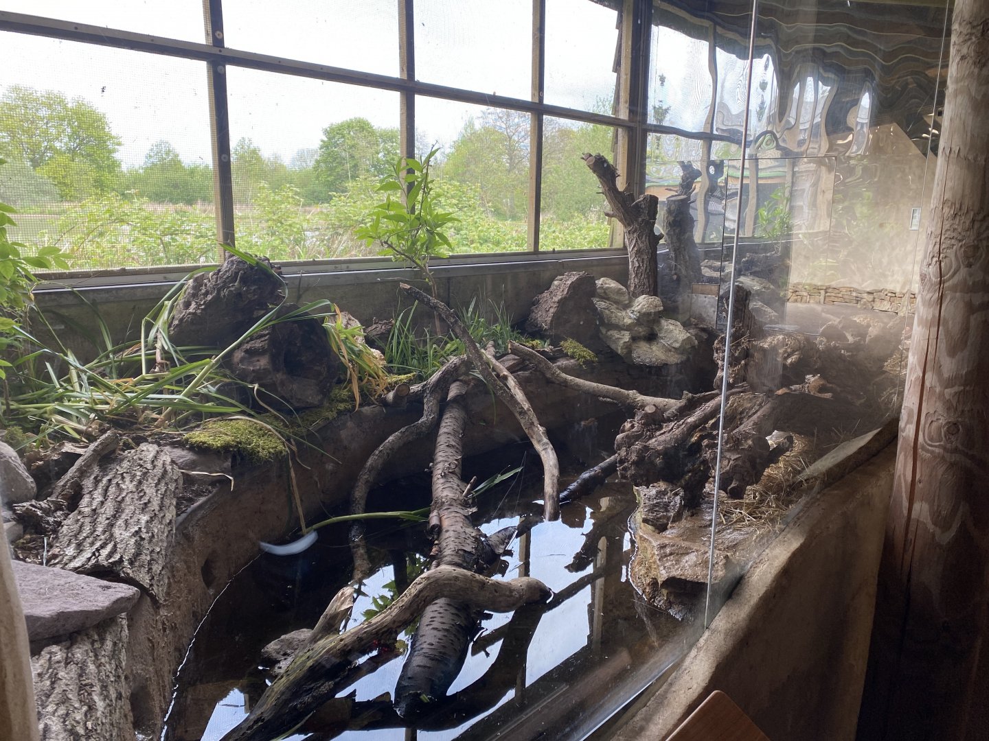 Water vole exhibit 290422