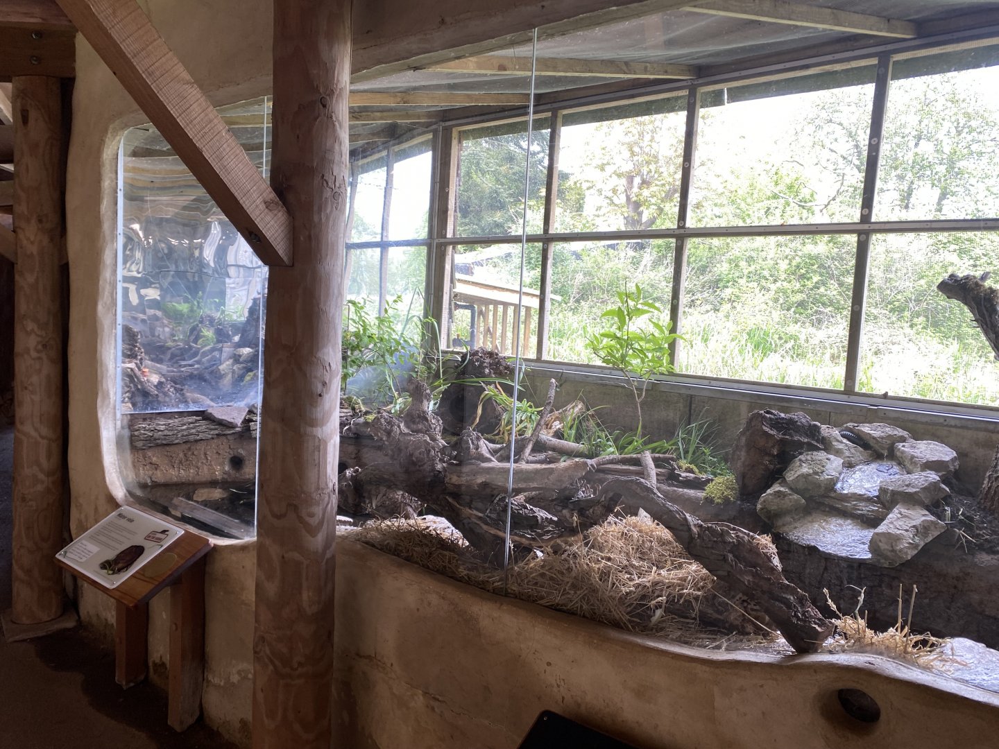 Water vole exhibit 290422