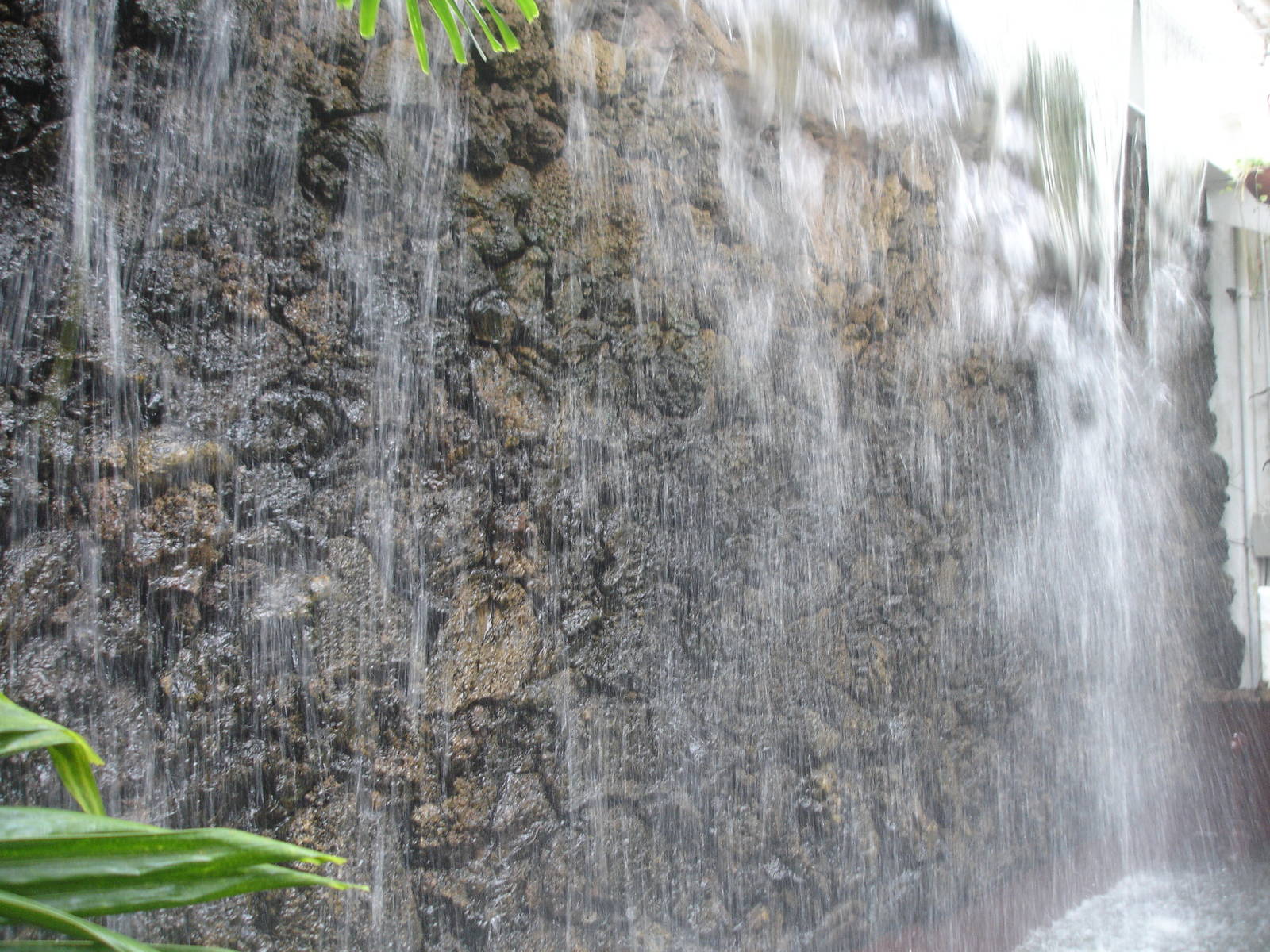 Water wall - butterfly house