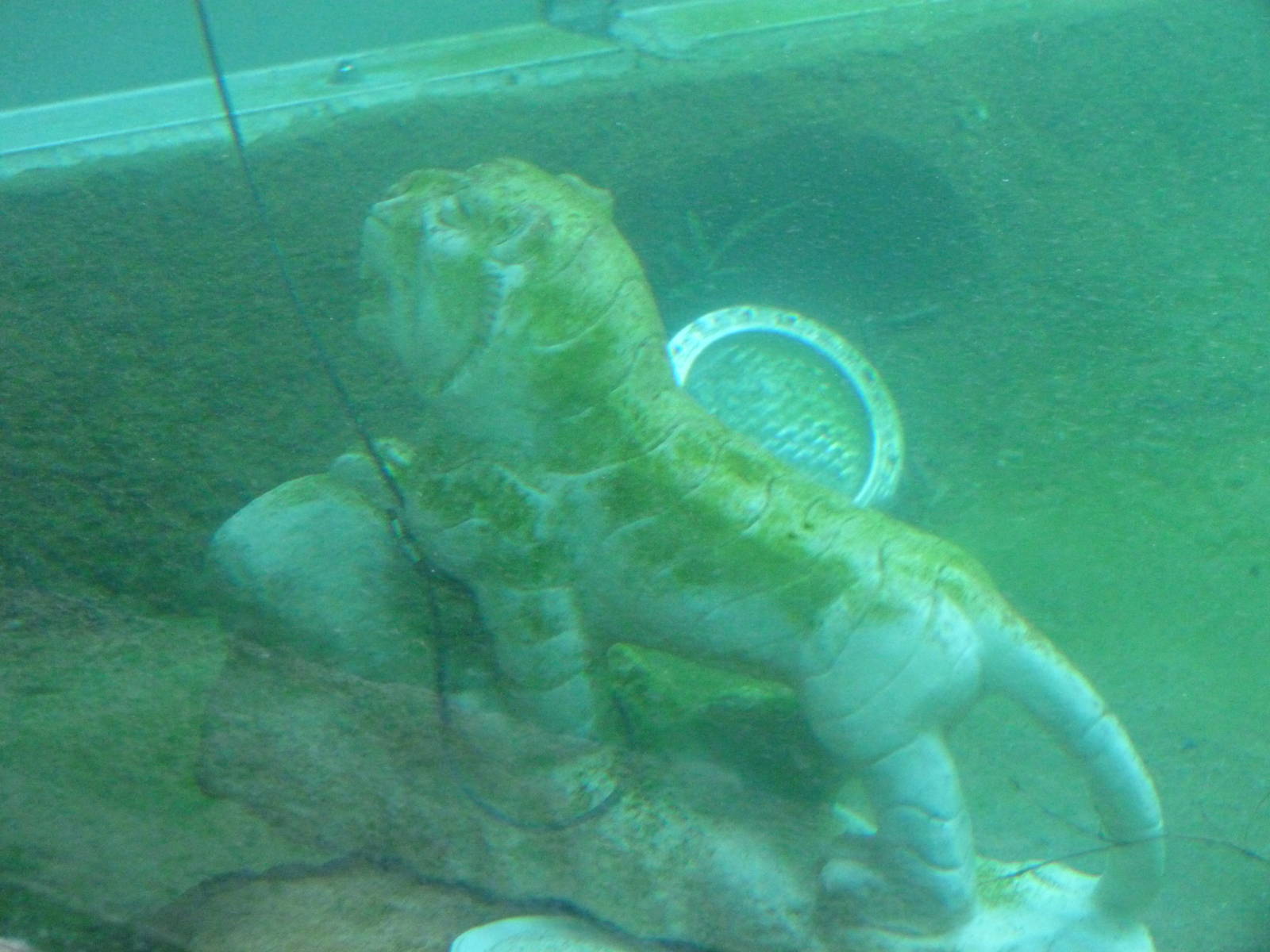 Water Weight - Trail of the Tiger (7-17-12)