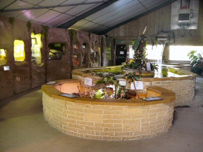 water wings & webs at Blackbrook