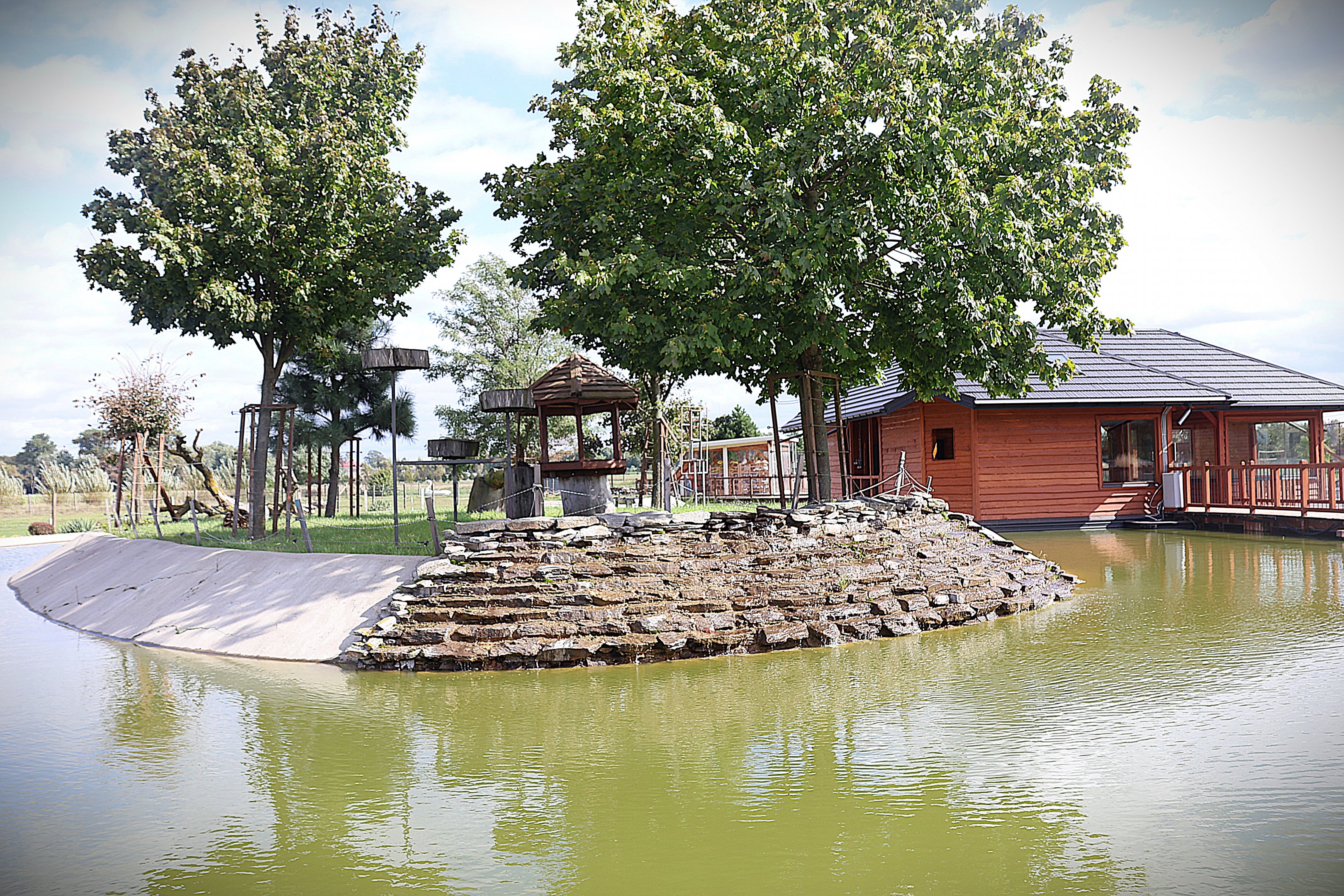 Water World - Collard mangabey (Cercocebus torquatus)