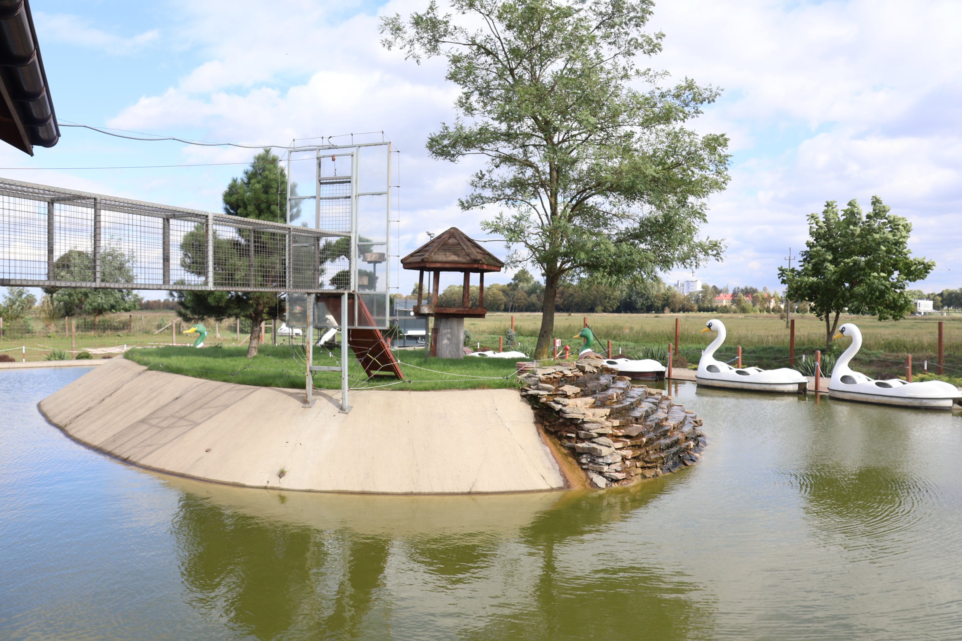 Water World - Ring-tailed lemur (Lemur catta)