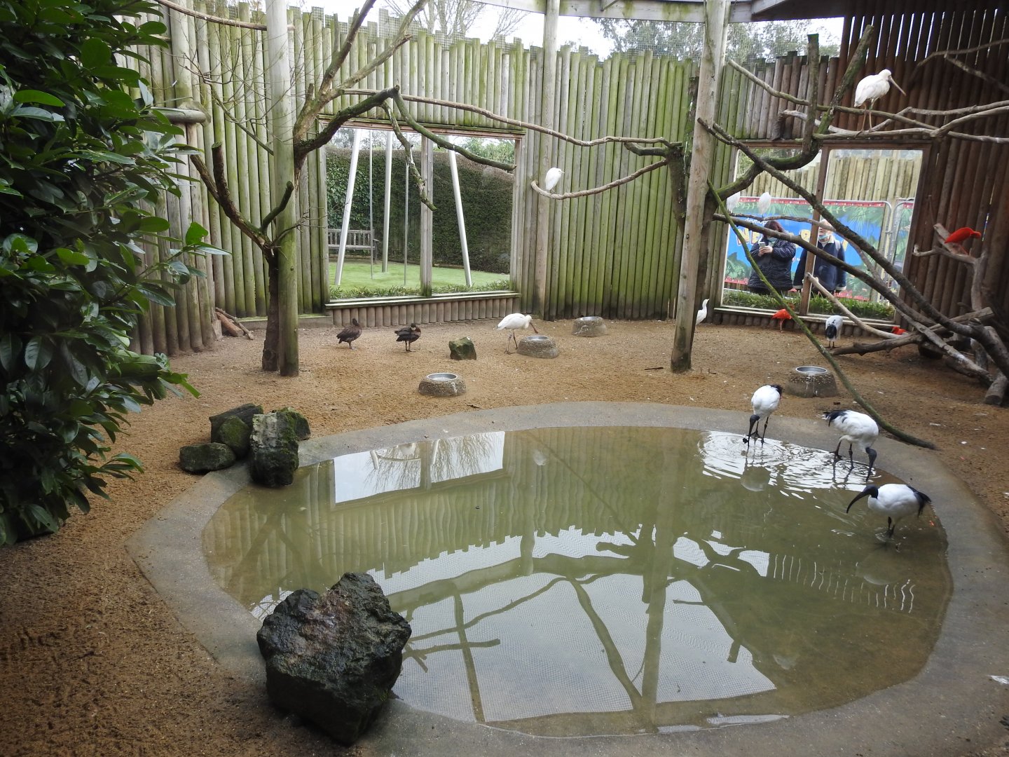 Waterbird Aviary 2