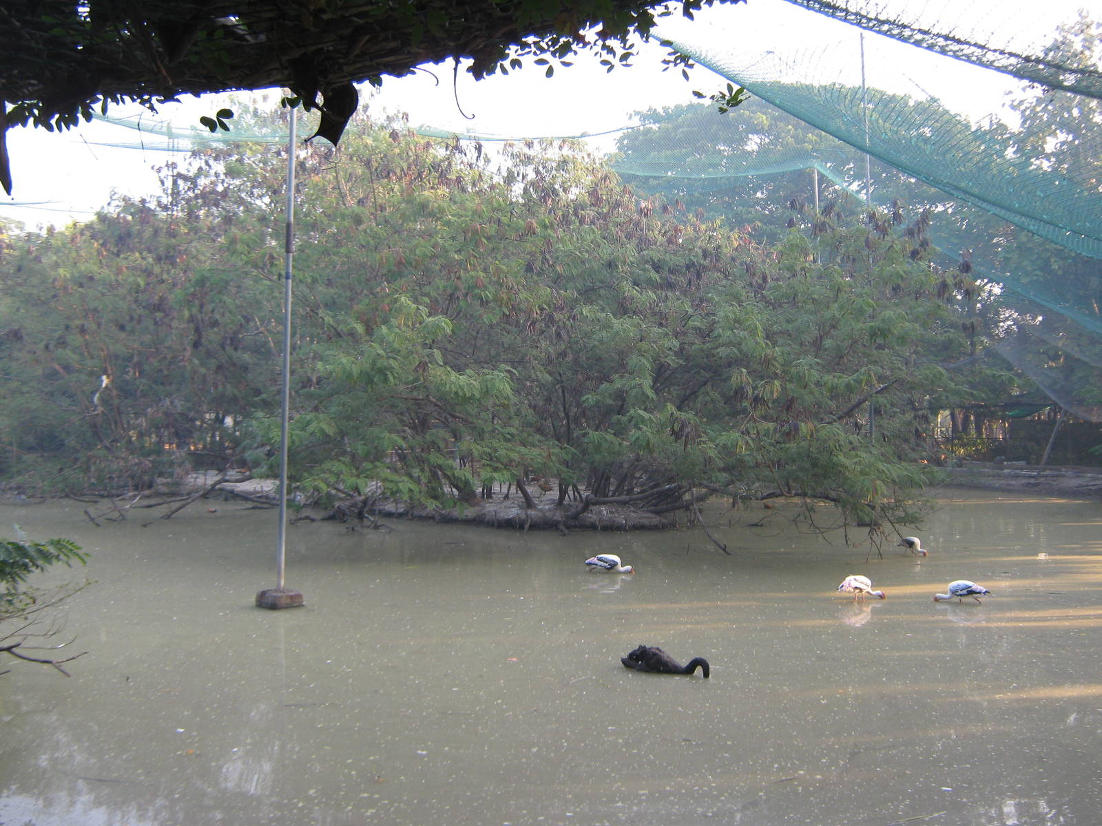 waterbird aviary interior