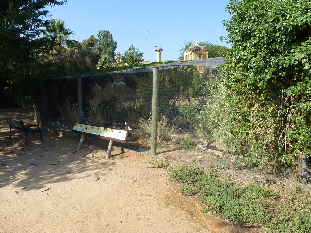 Waterbird aviary, July 2013.