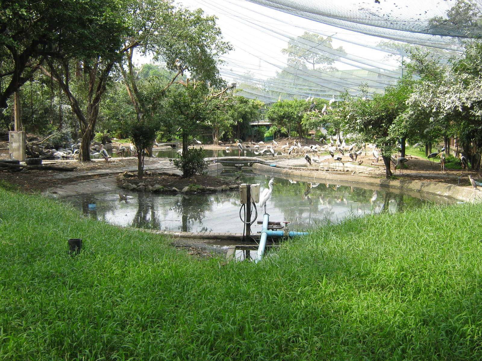 waterbird aviary