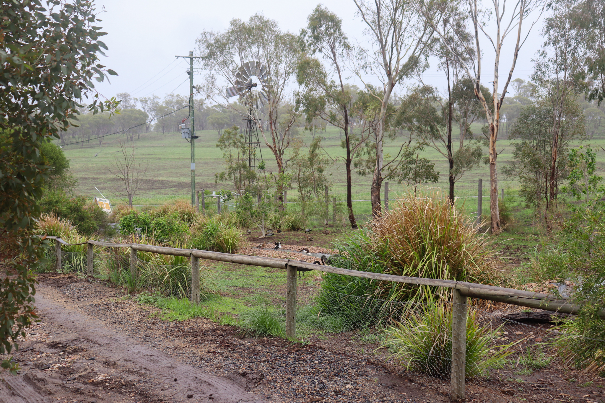 Waterbird Enclosure - February 2020