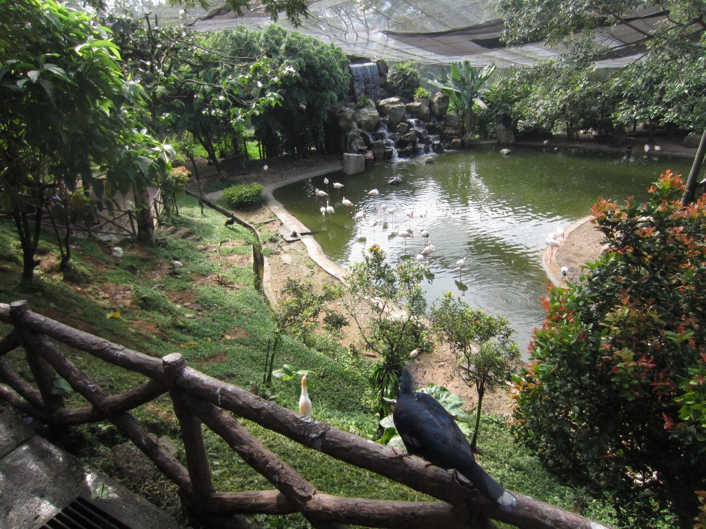 Waterbird Pond