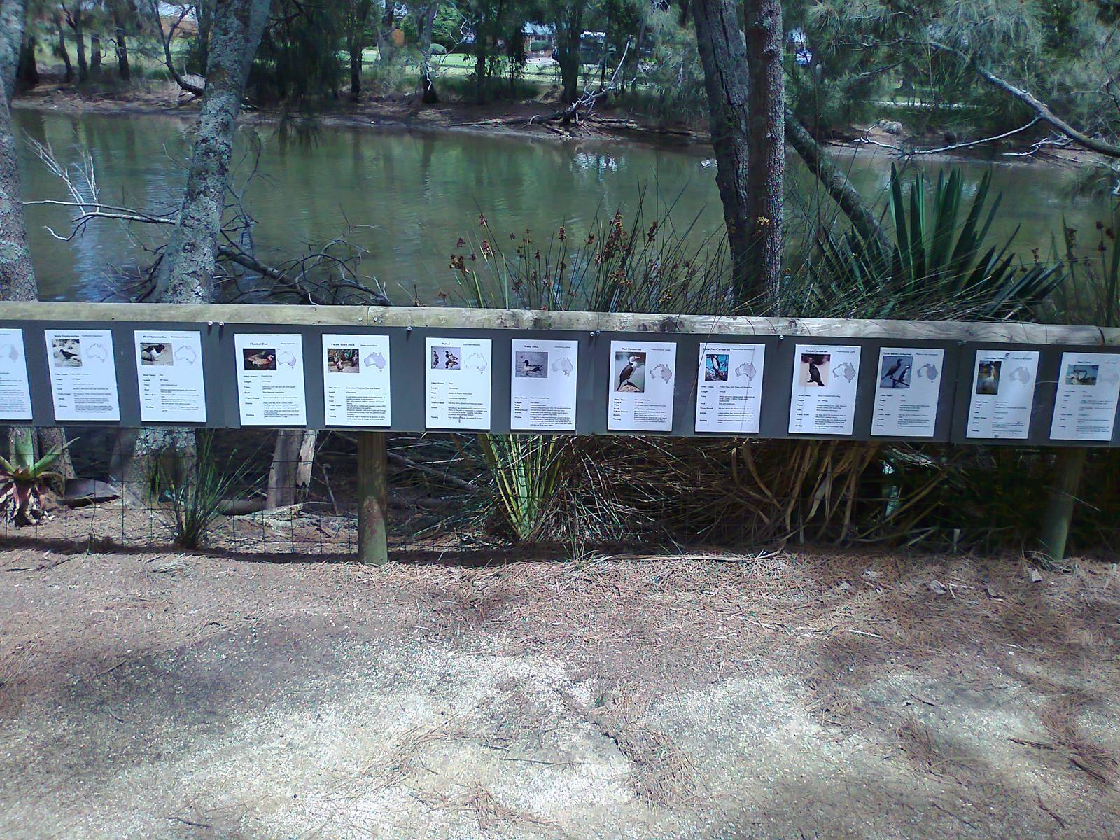 Waterbird signs