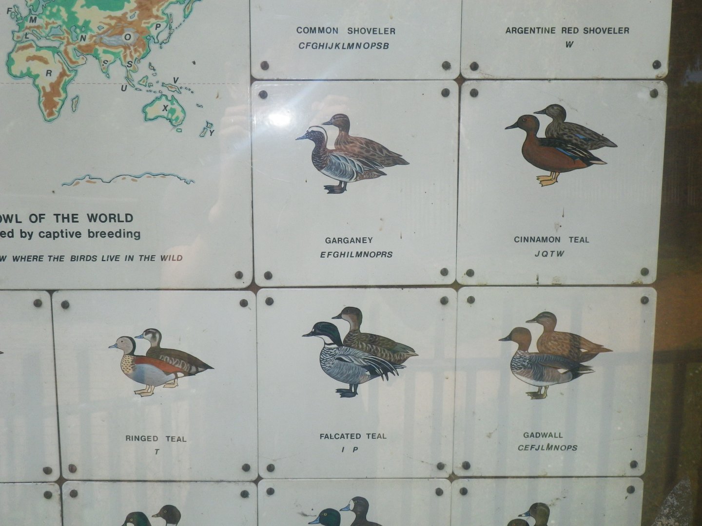 Waterbird species identification sign at Regents Park, London