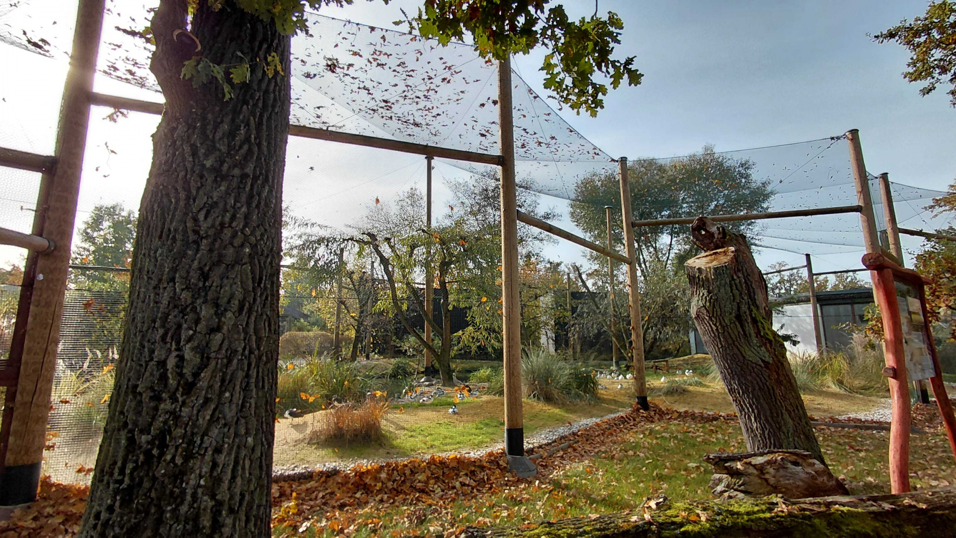 Waterbird walkthrough aviary