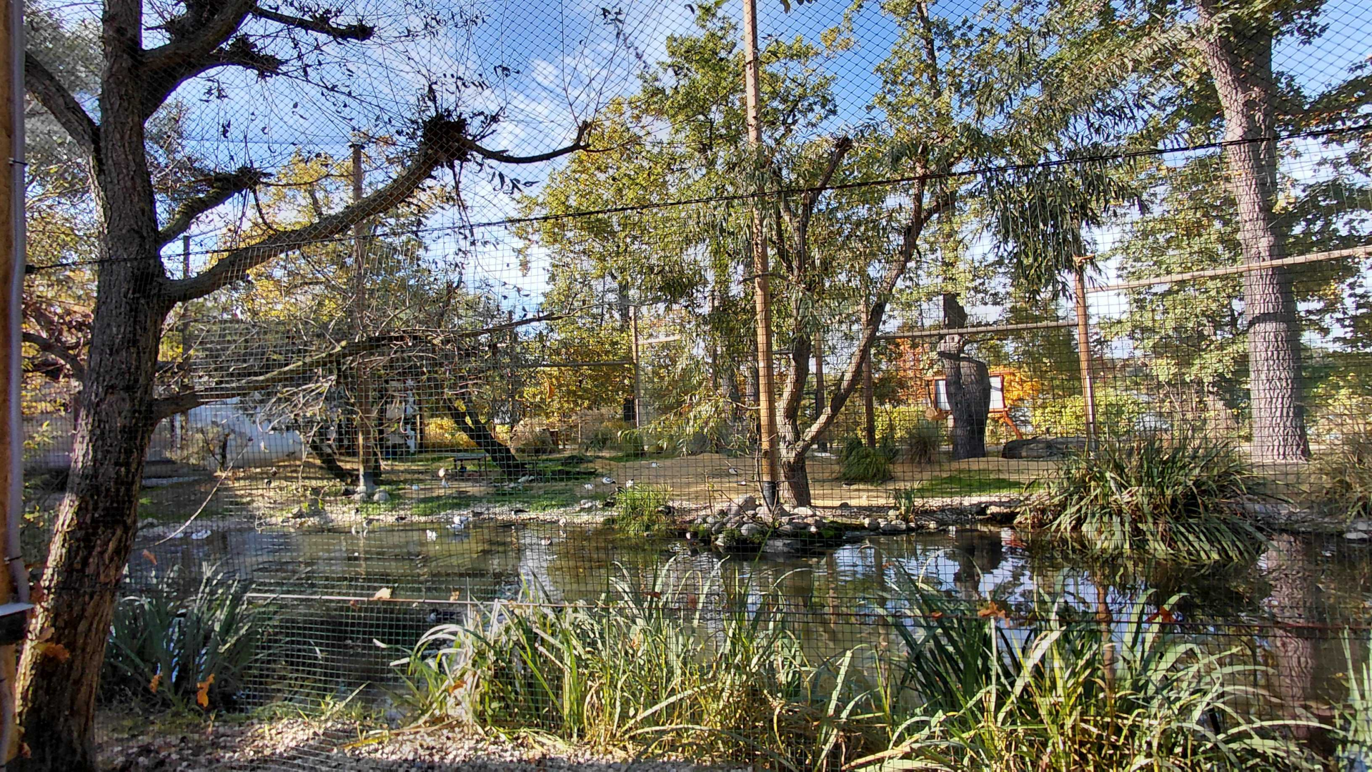 Waterbird walkthrough aviary