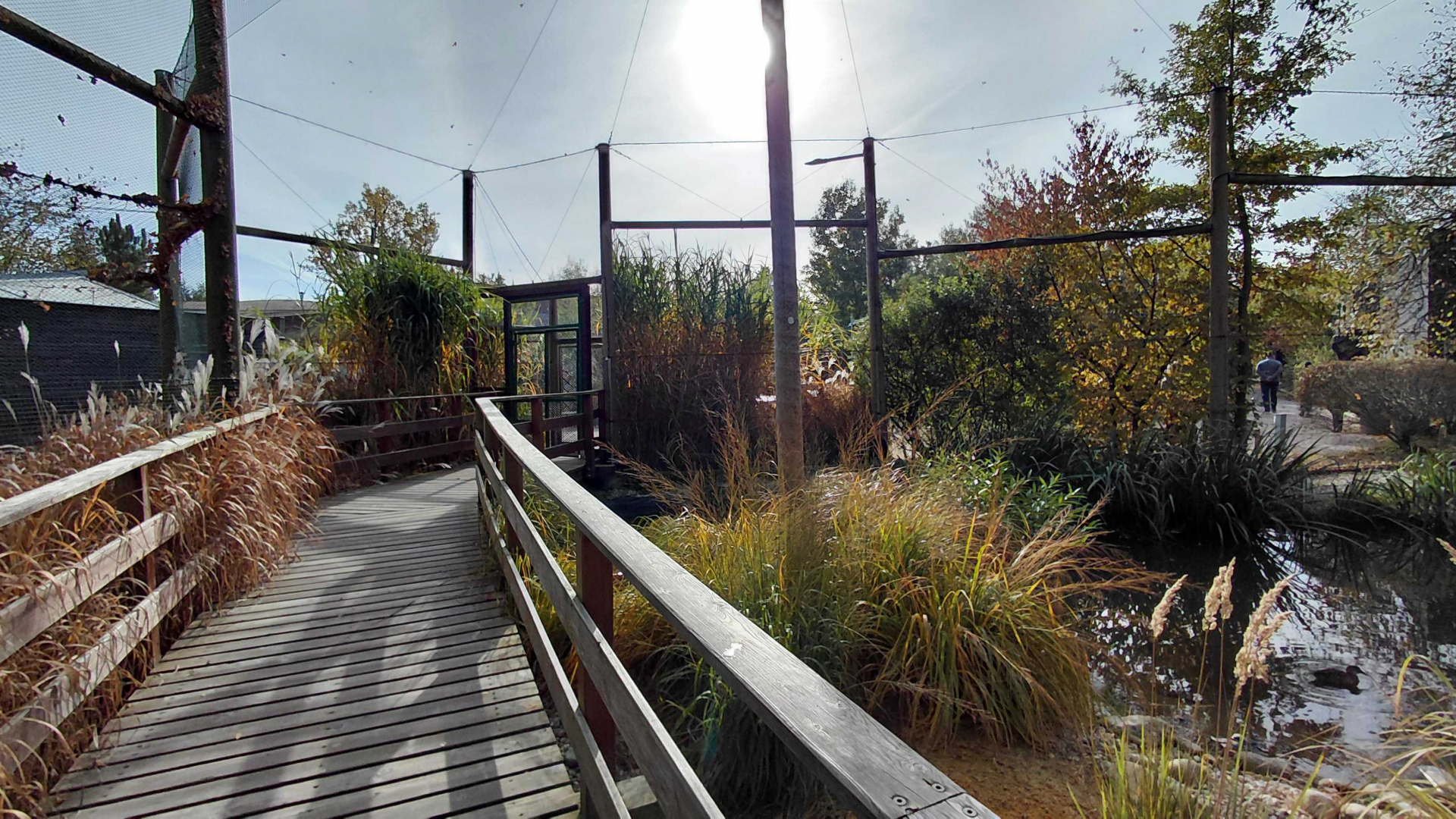 Waterbird walkthrough aviary