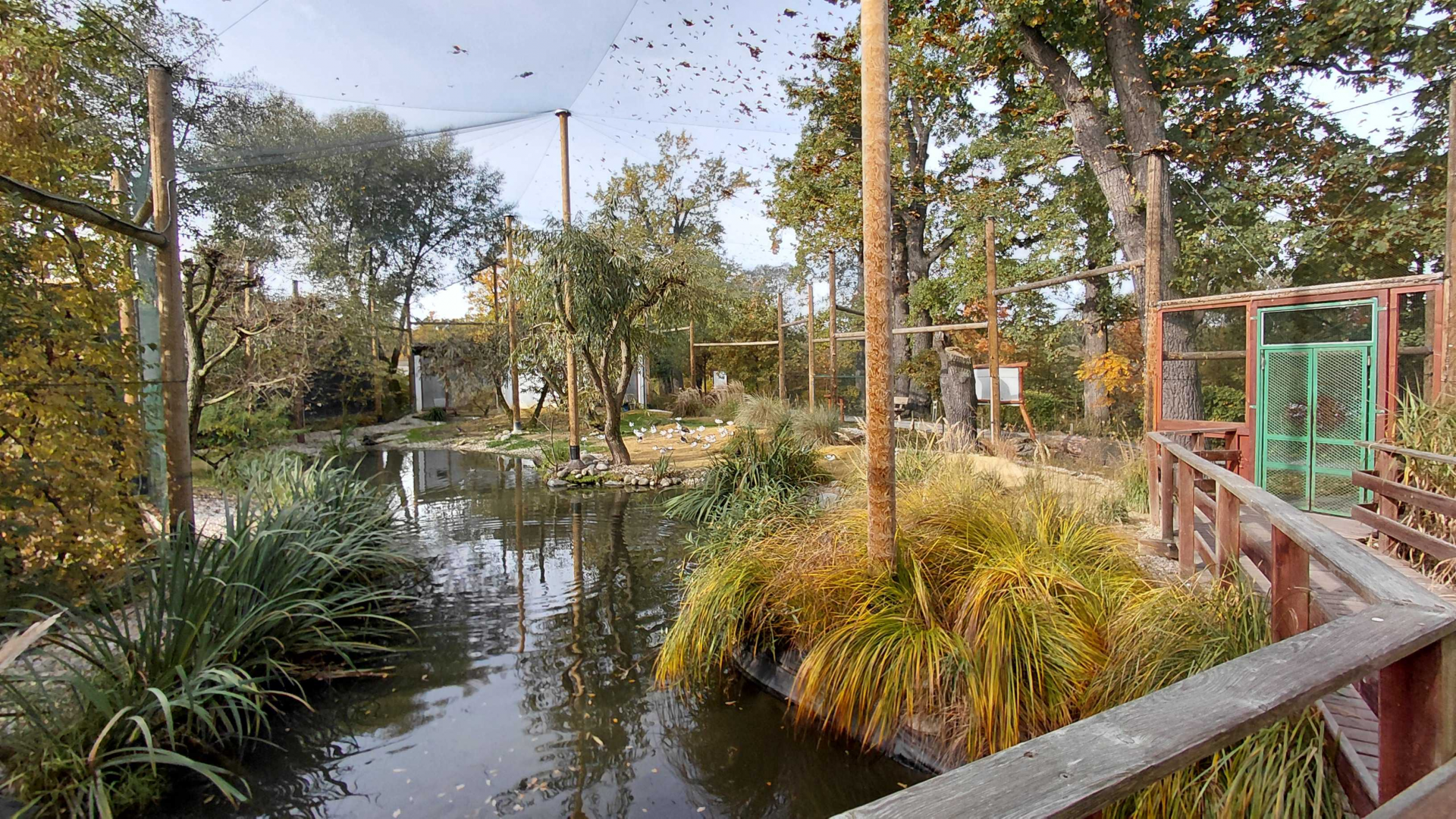 Waterbird walkthrough aviary