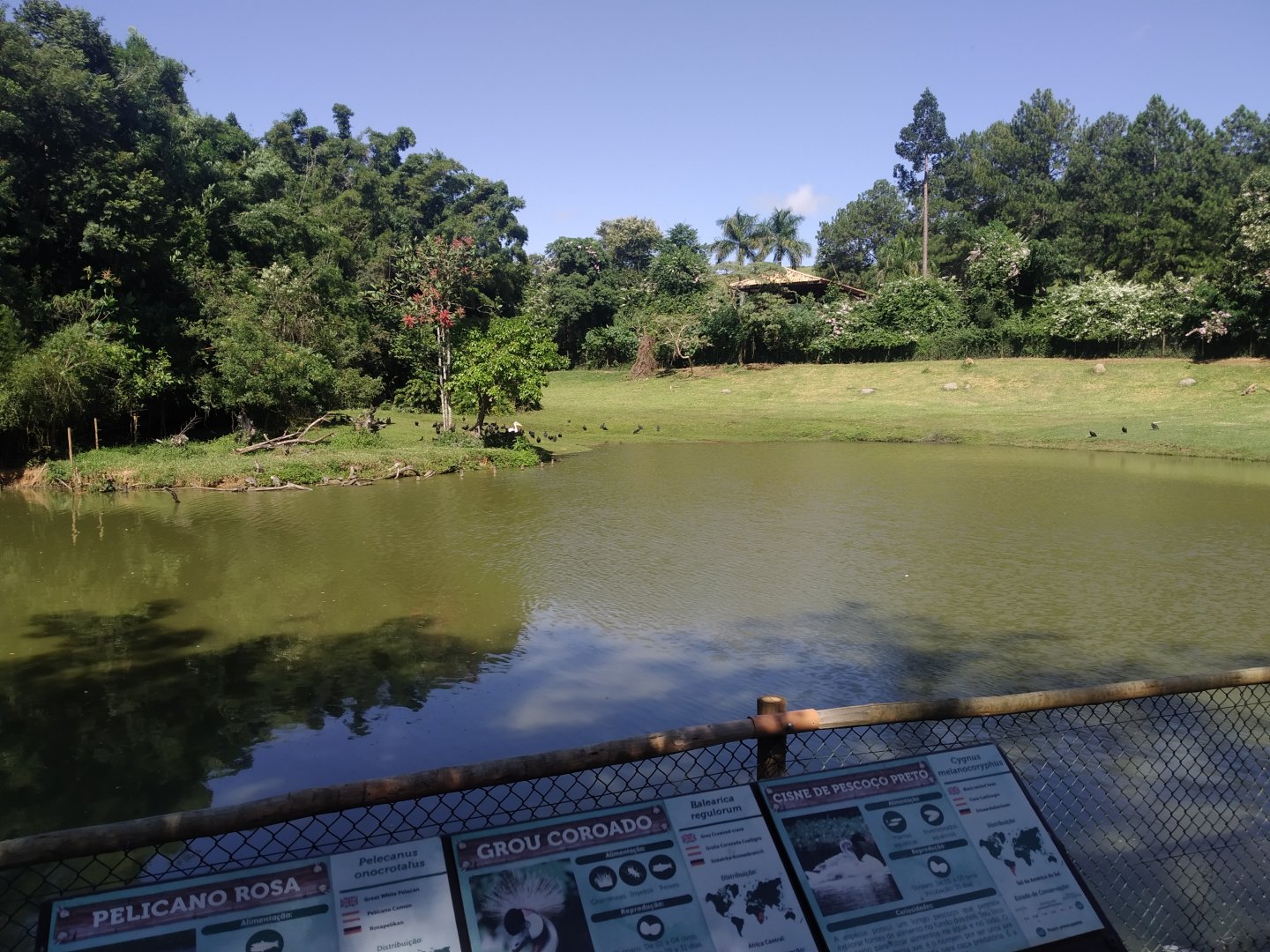 Waterbuck and jabiru exhibit