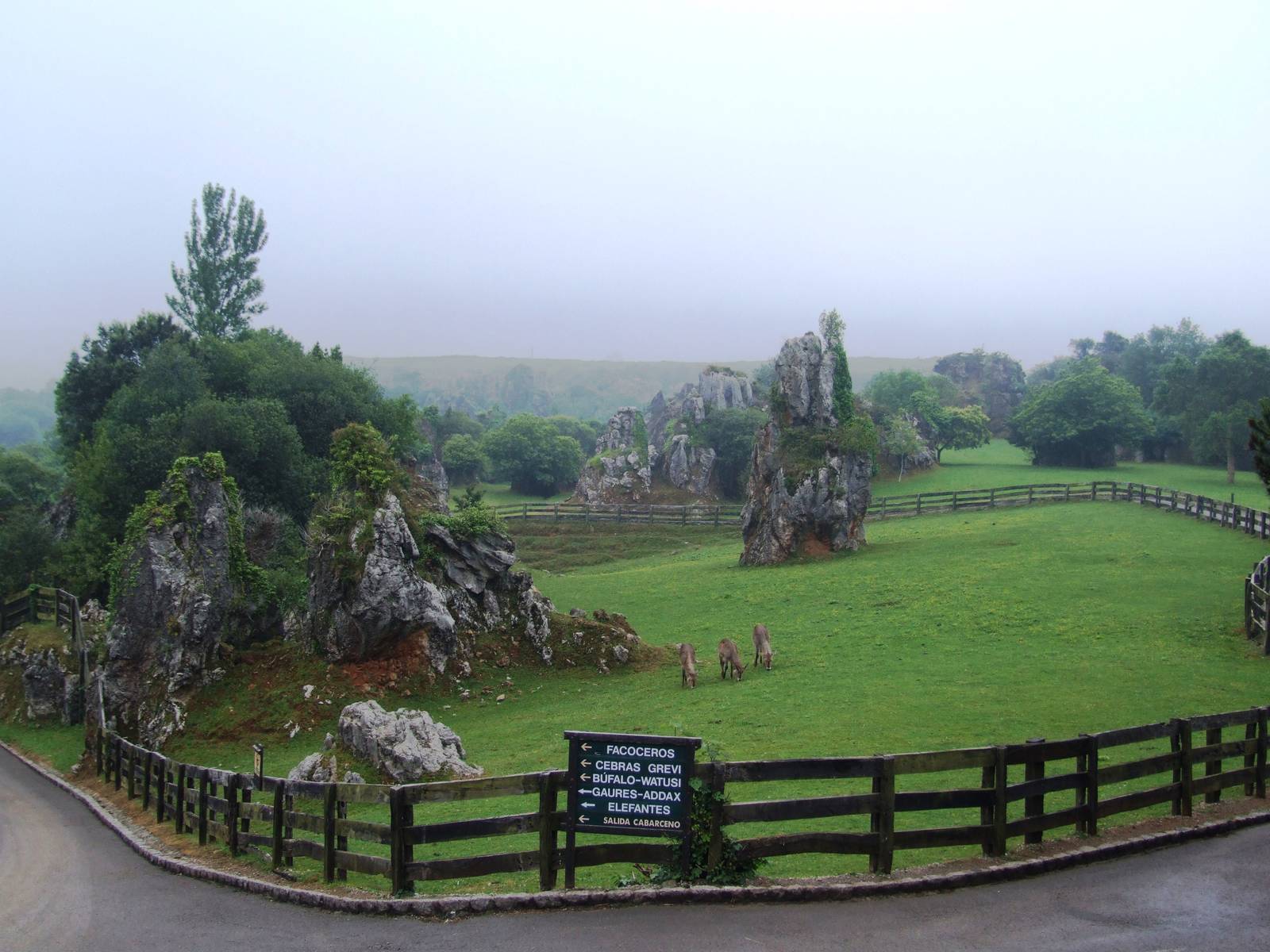Waterbuck Enclosure at Cabarceno, 11/06/15
