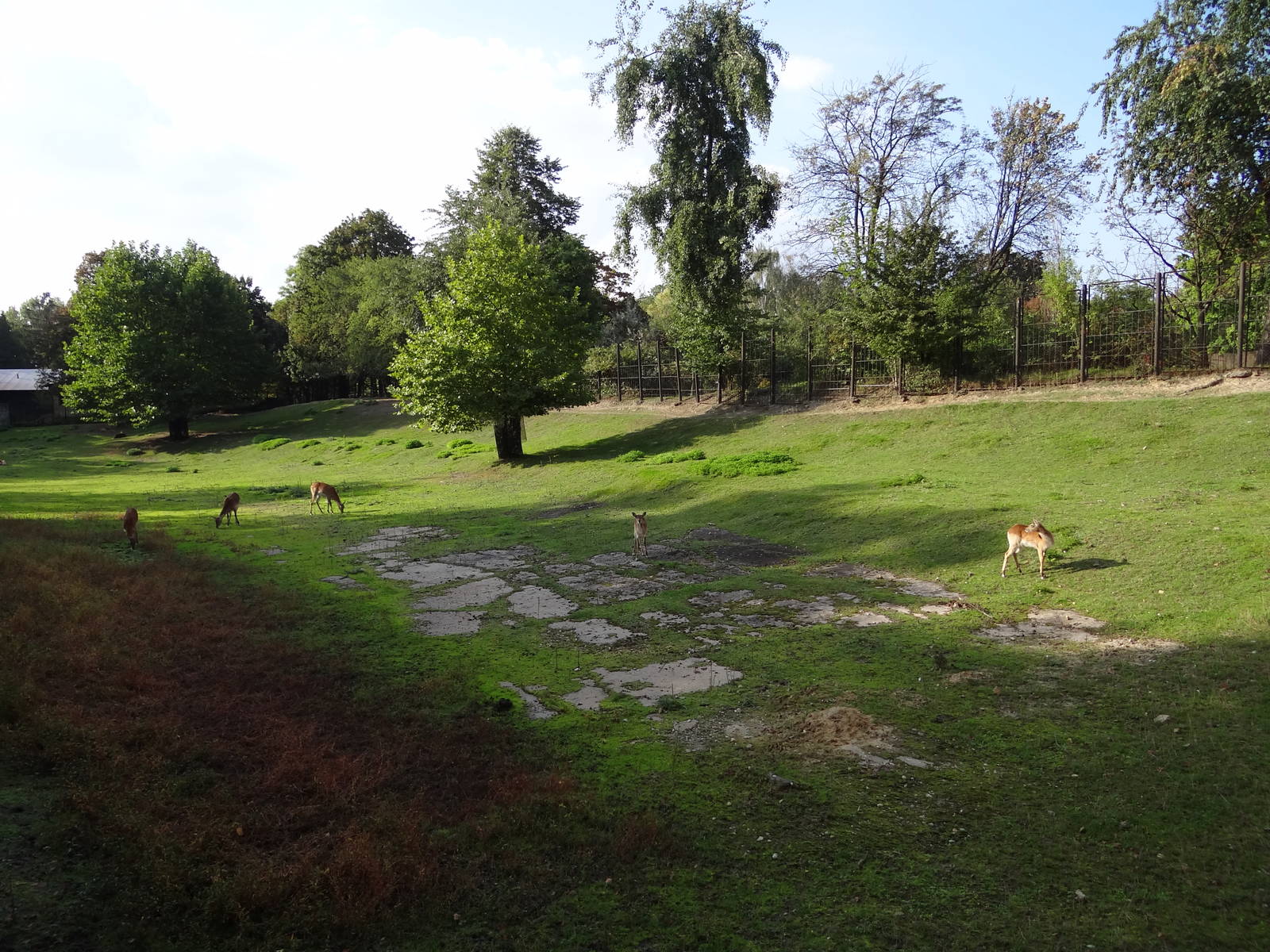 Waterbuck enclosure