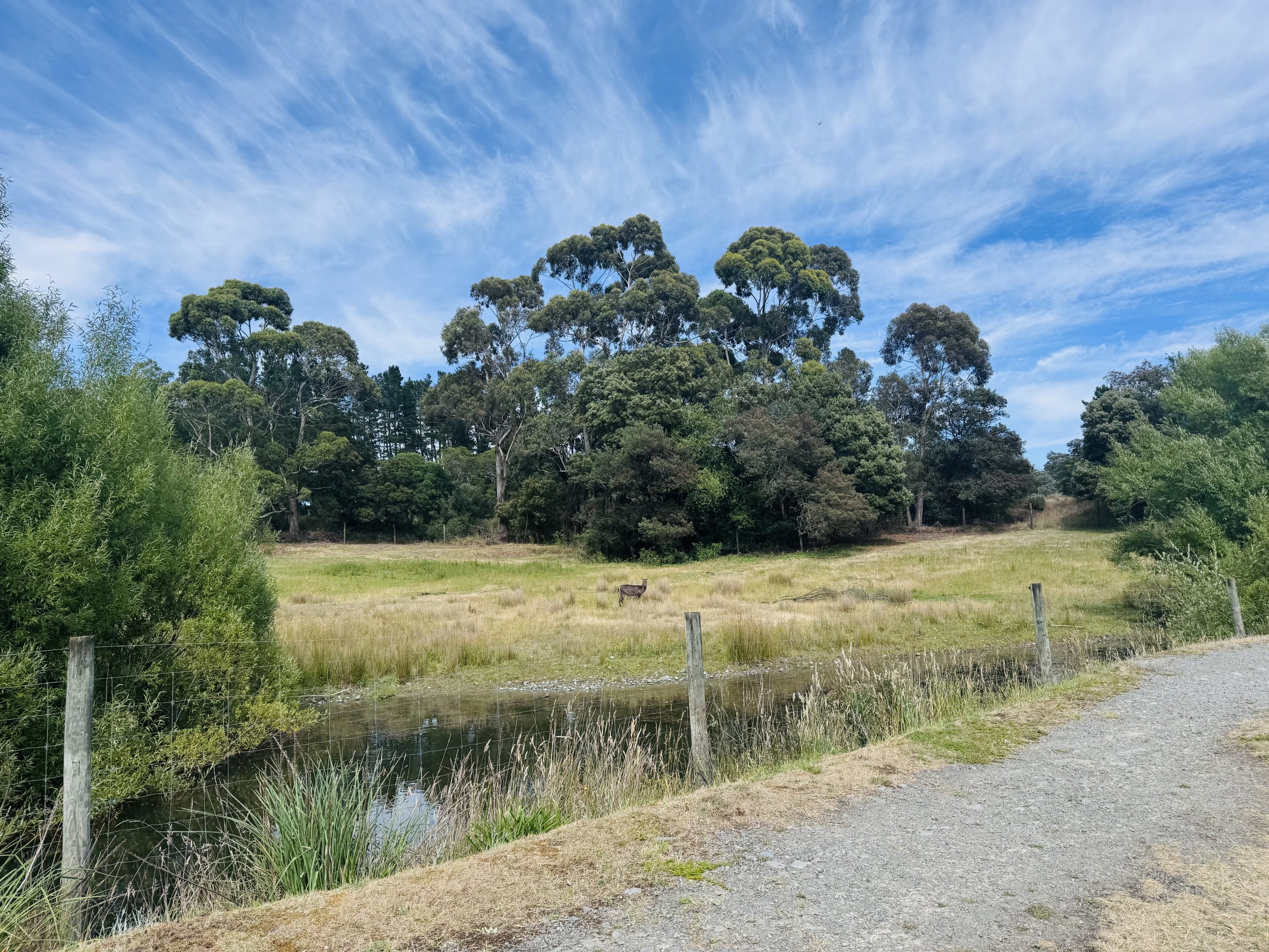 Waterbuck enclosure